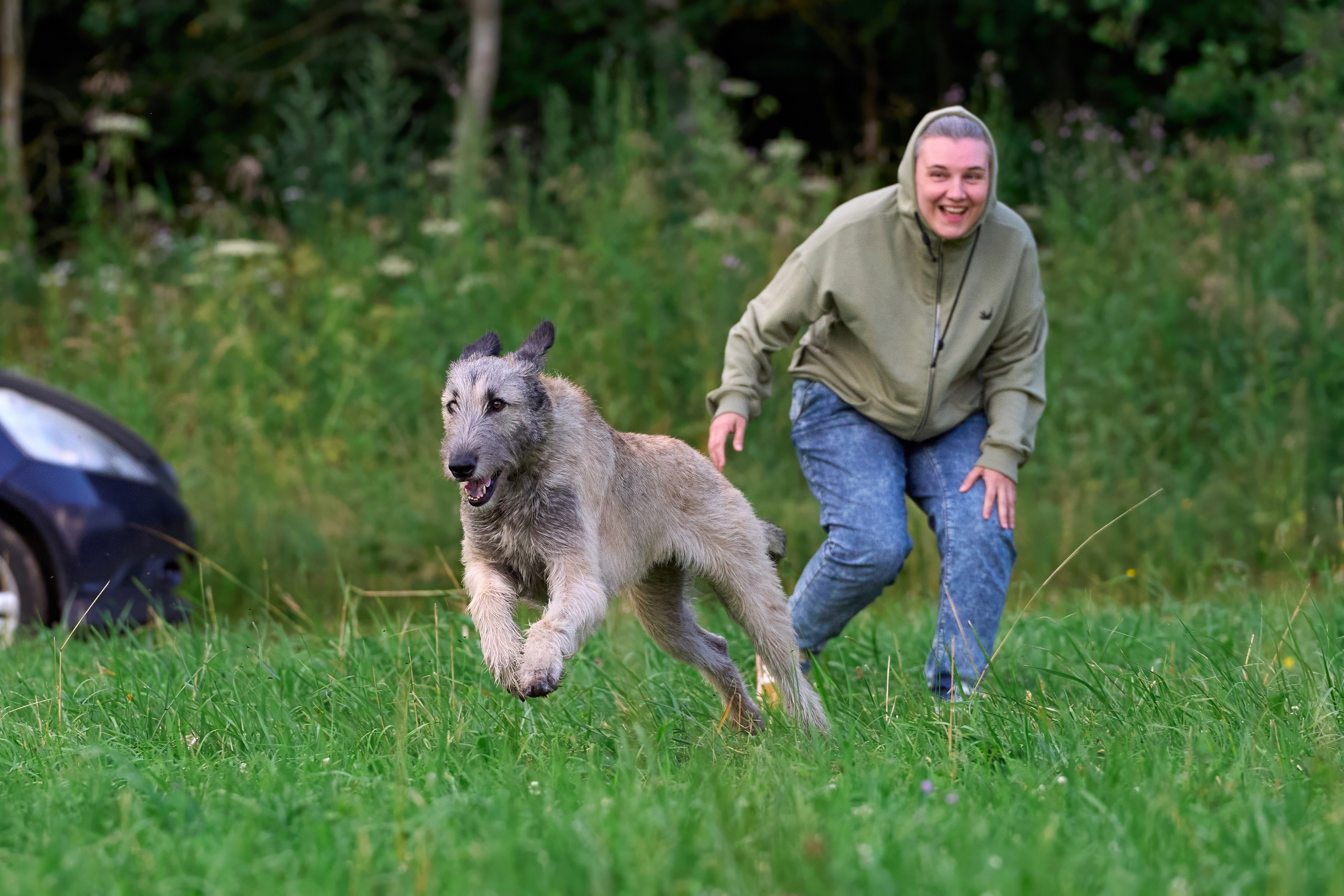 Тренировка по курсингу в Донино. Фотограф-анималист Михаил Манухин