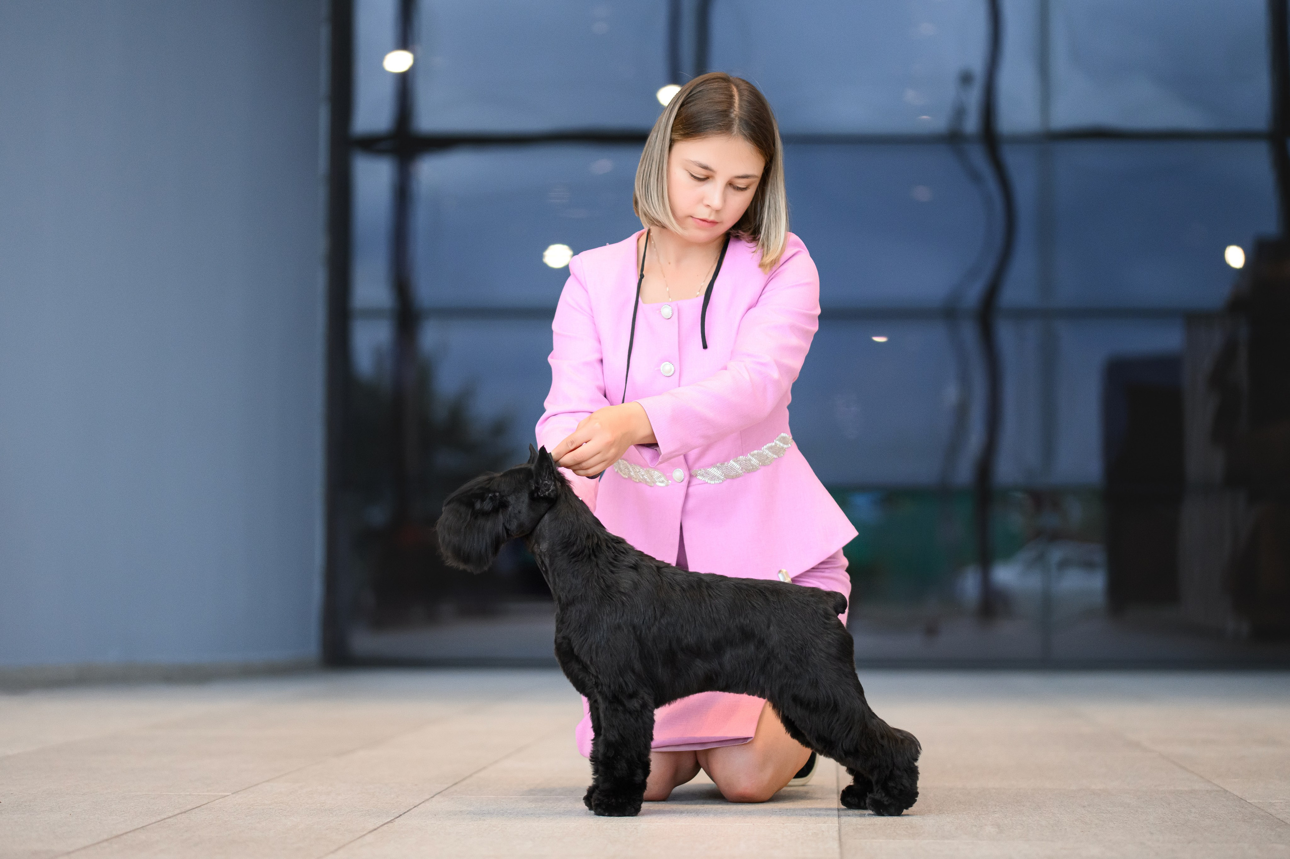 Собаки. FASHION ФОТОГРАФ КАЗАНЬ