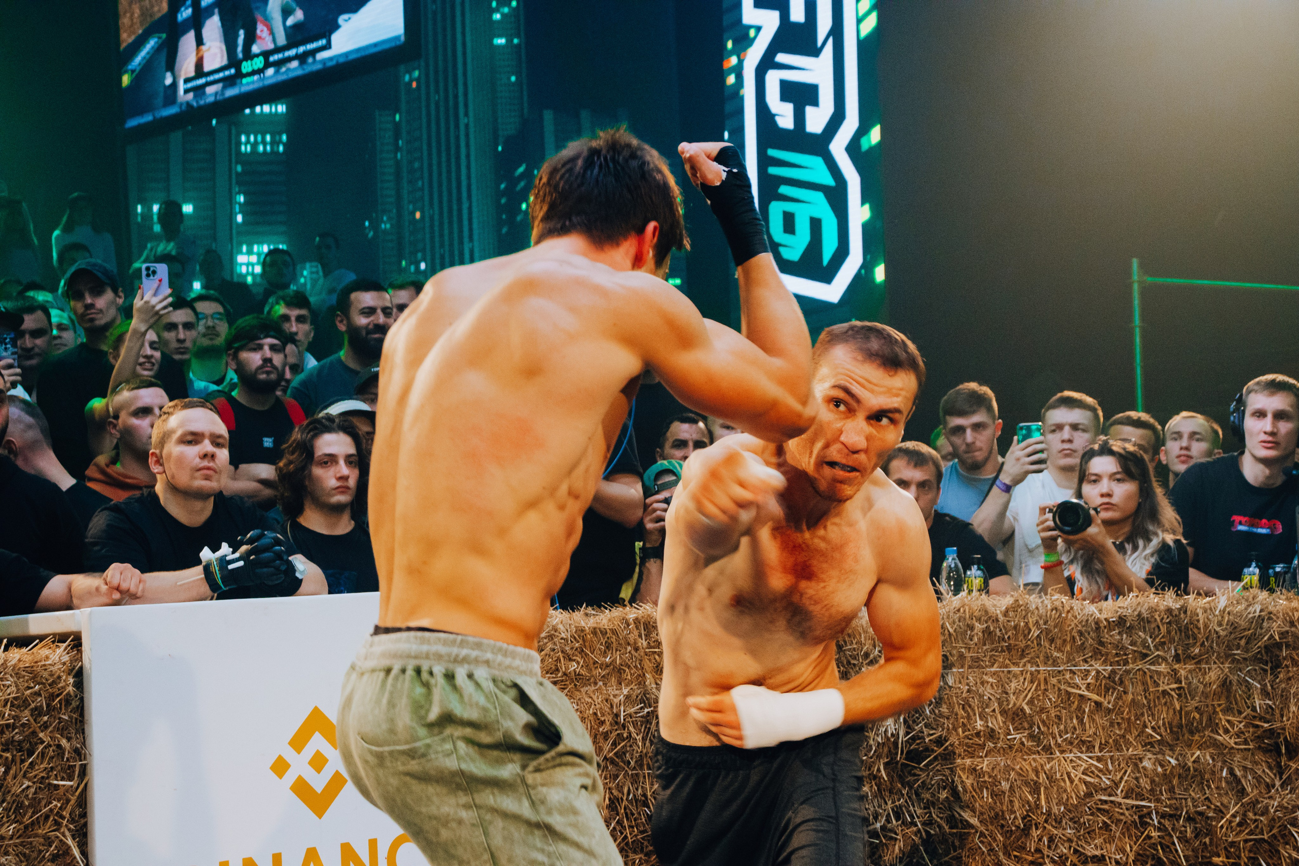 Кулачные бои TopDog. Анастасия Тен