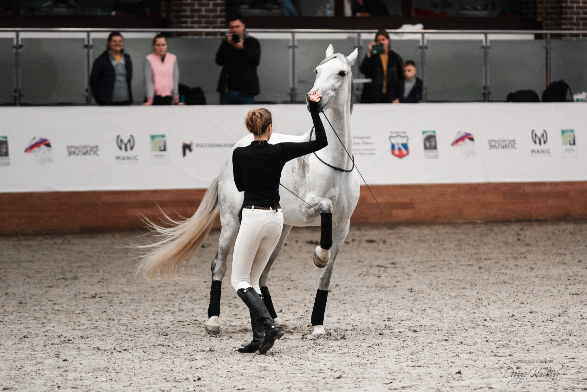 8-я международная выставка Конная Россия. Конный фотограф Куракина Дарья • Фотосессии с лошадьми
