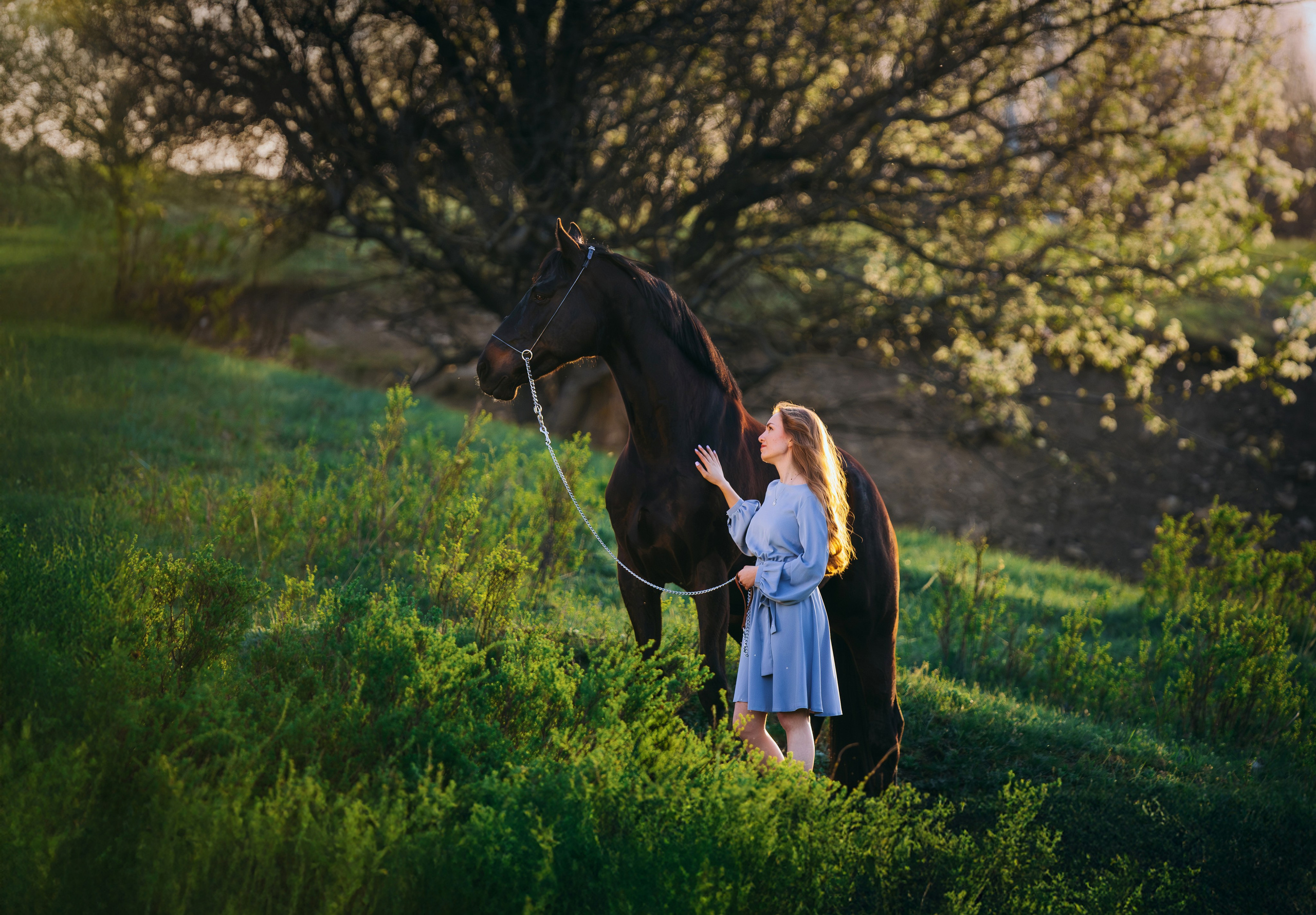 Вероника и Брэй. Фотограф-анималист Ксендзова Кристина
