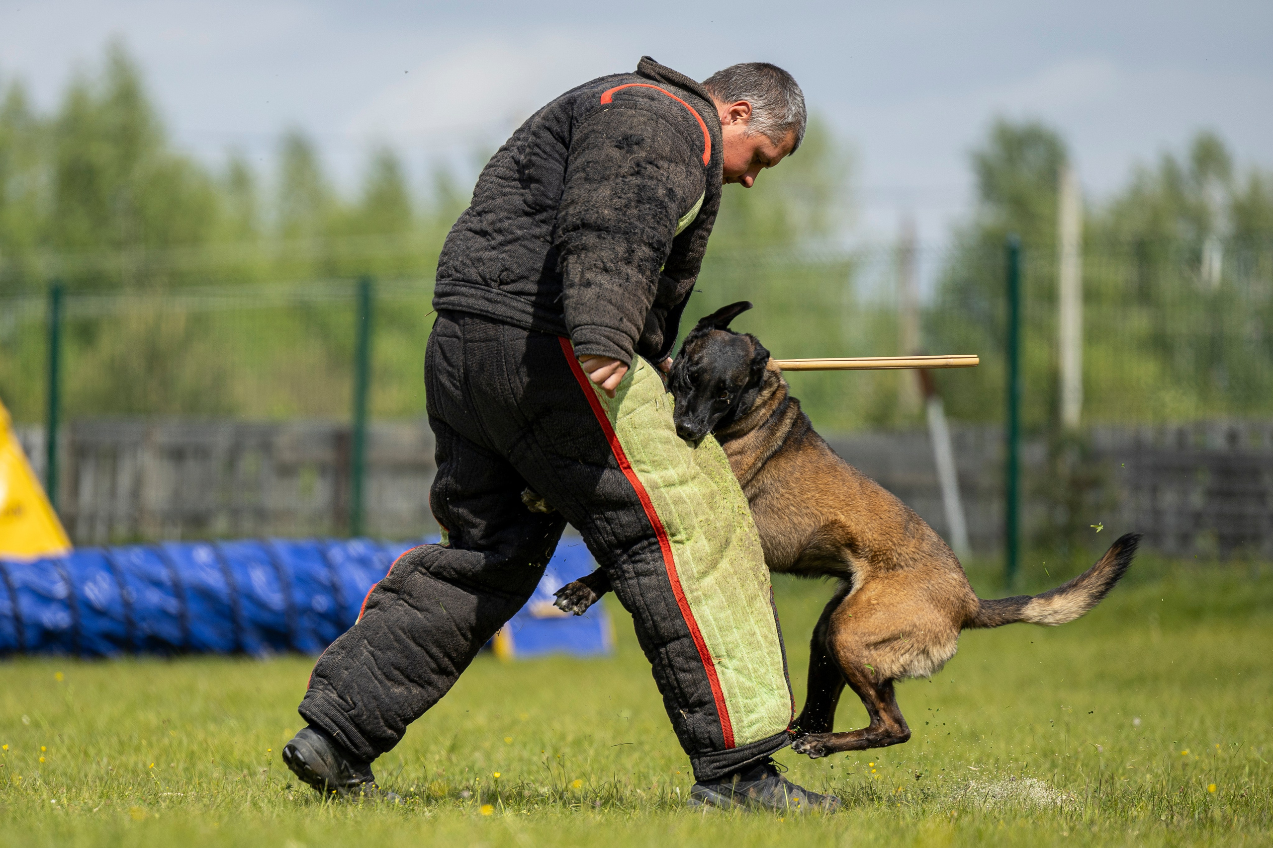 Испытания по мондьорингу в Нижнем Новгороде. Фотограф-анималист Анна Маринич