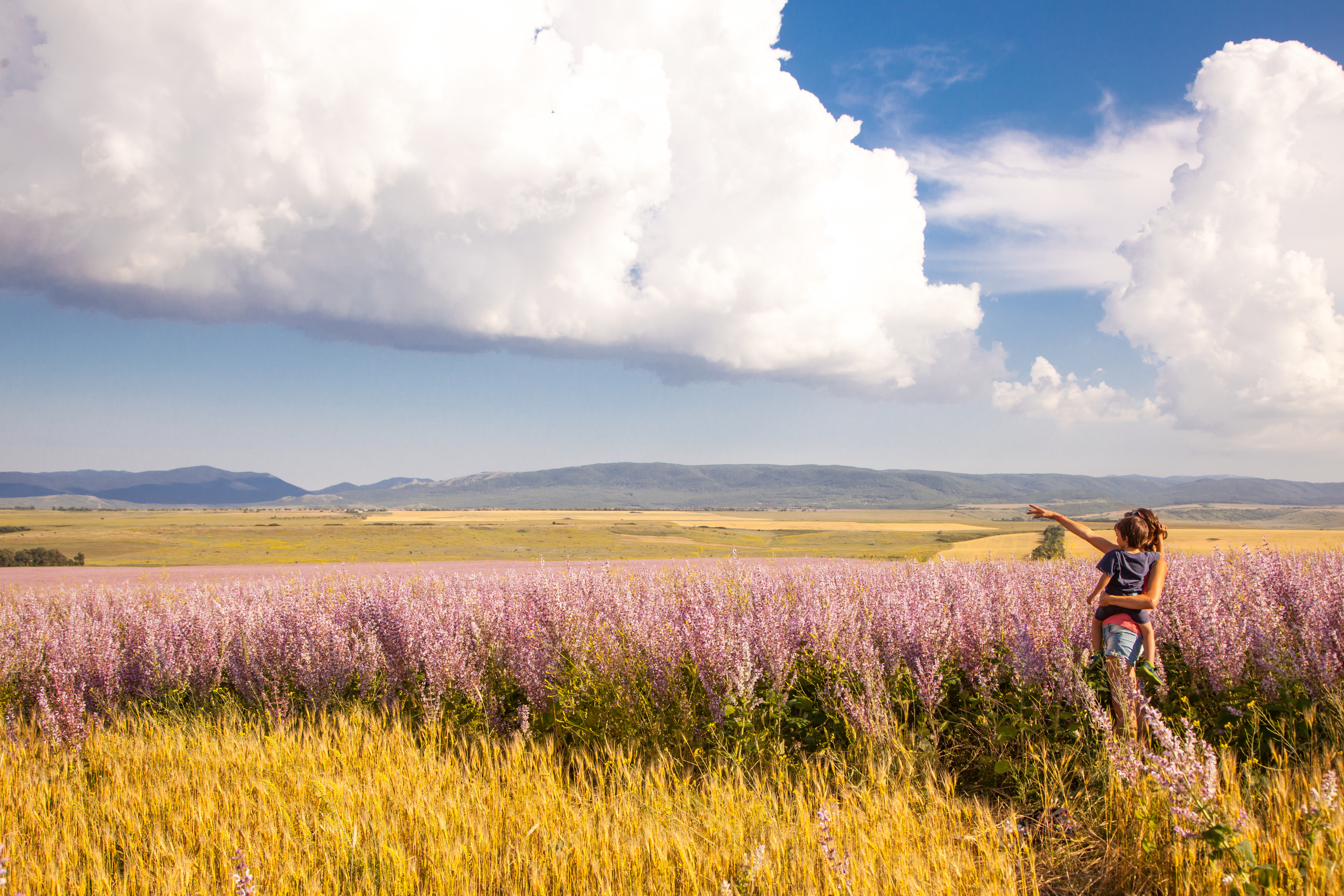 Семья и дети. Свадебный и семейный фотограф в Крыму Юлия Мищенко