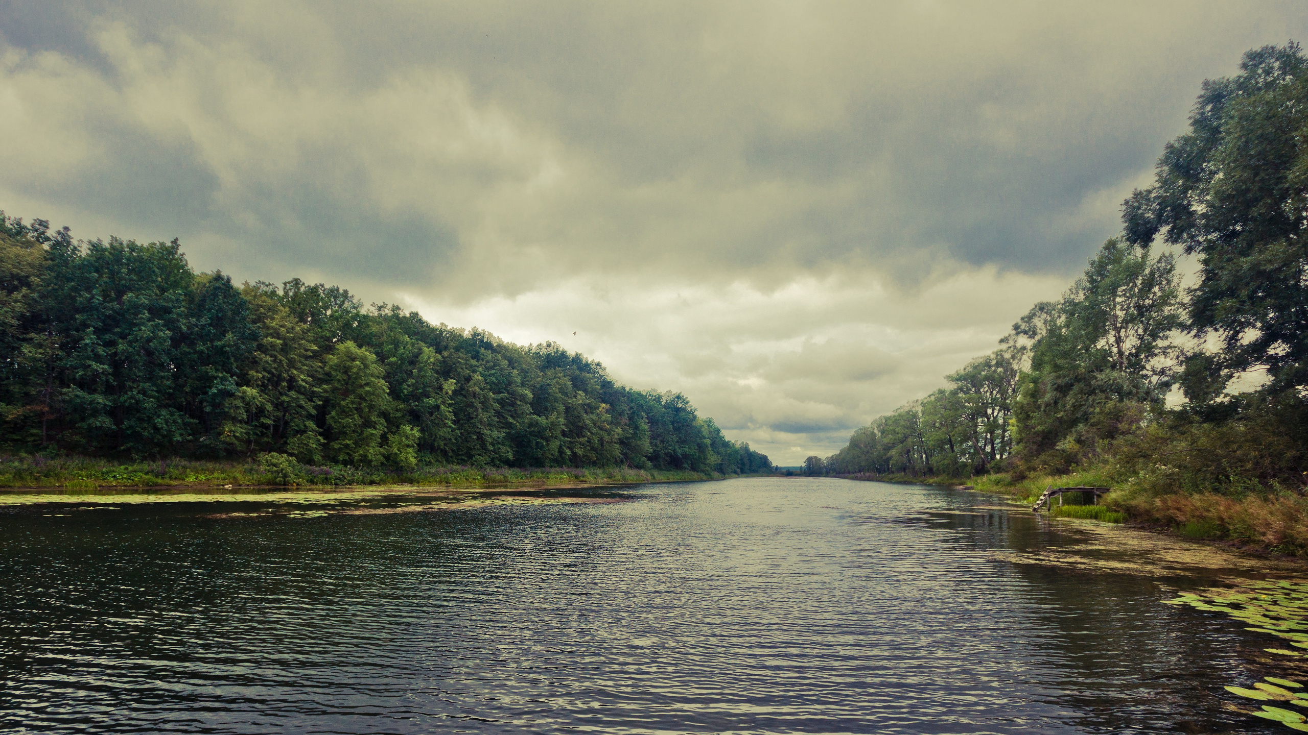 Природа. Фотограф Шибков Константин