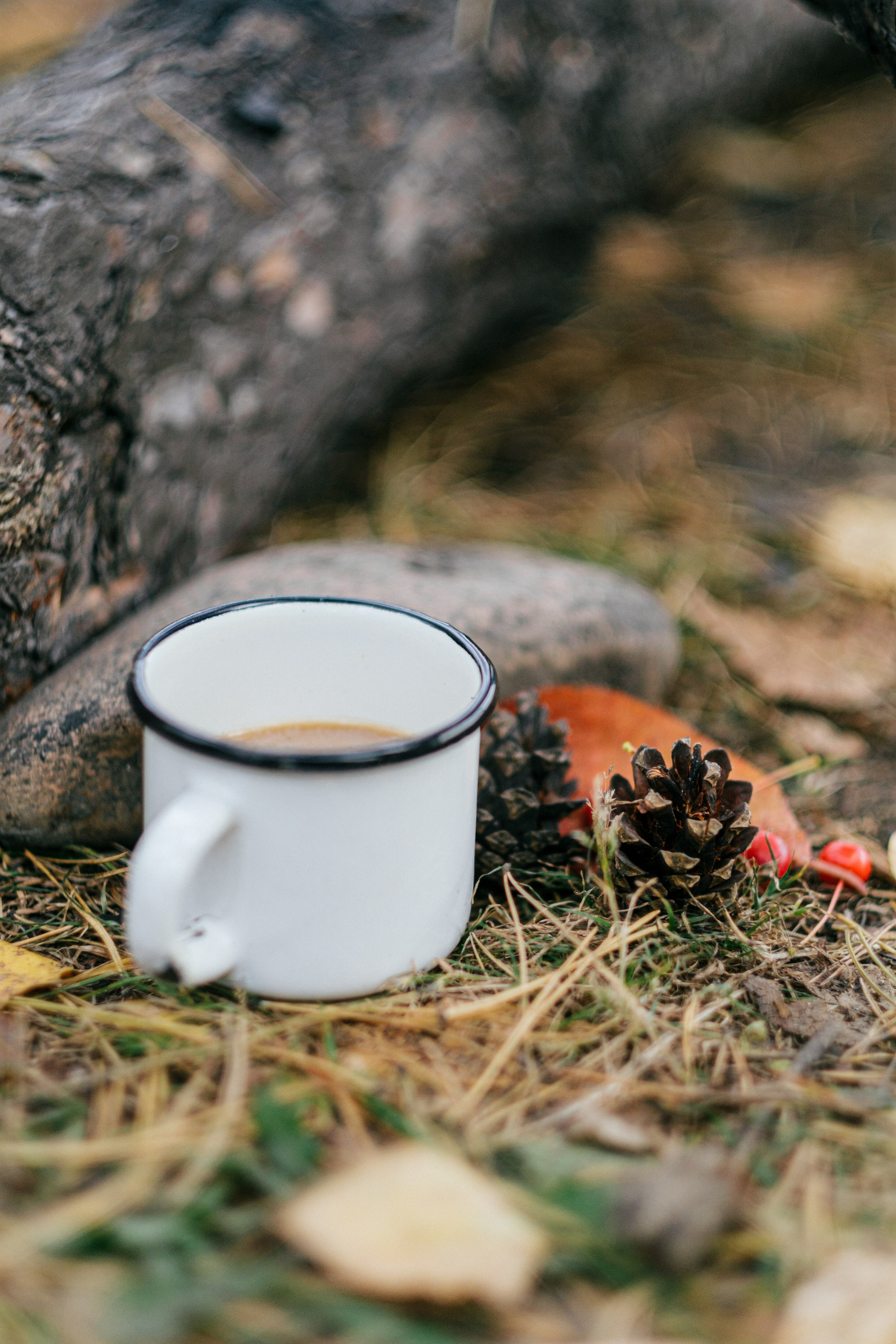 Осенний пикник. Свадебный Видеограф Фотограф в Сочи