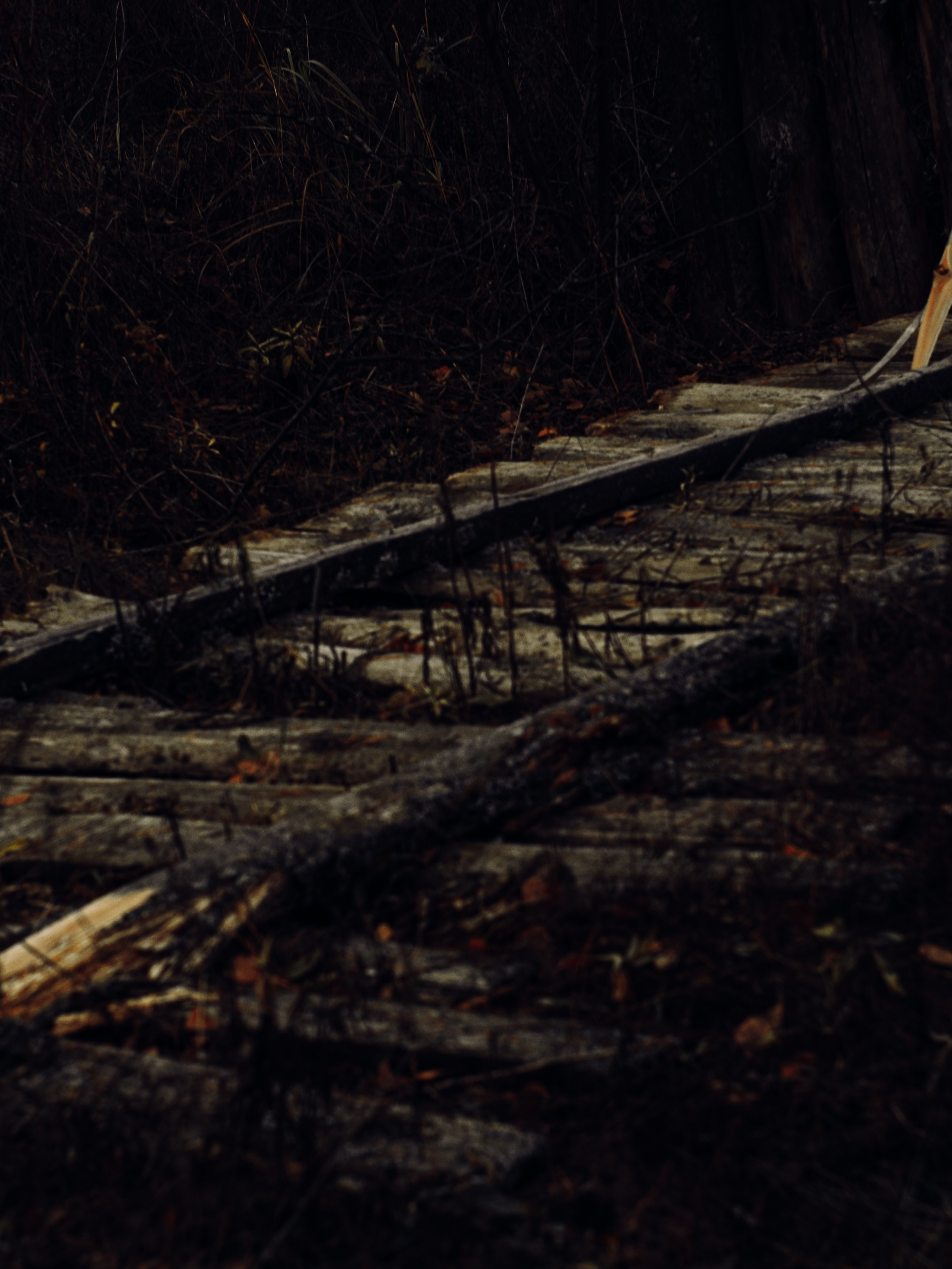 Арина. Фотоистории