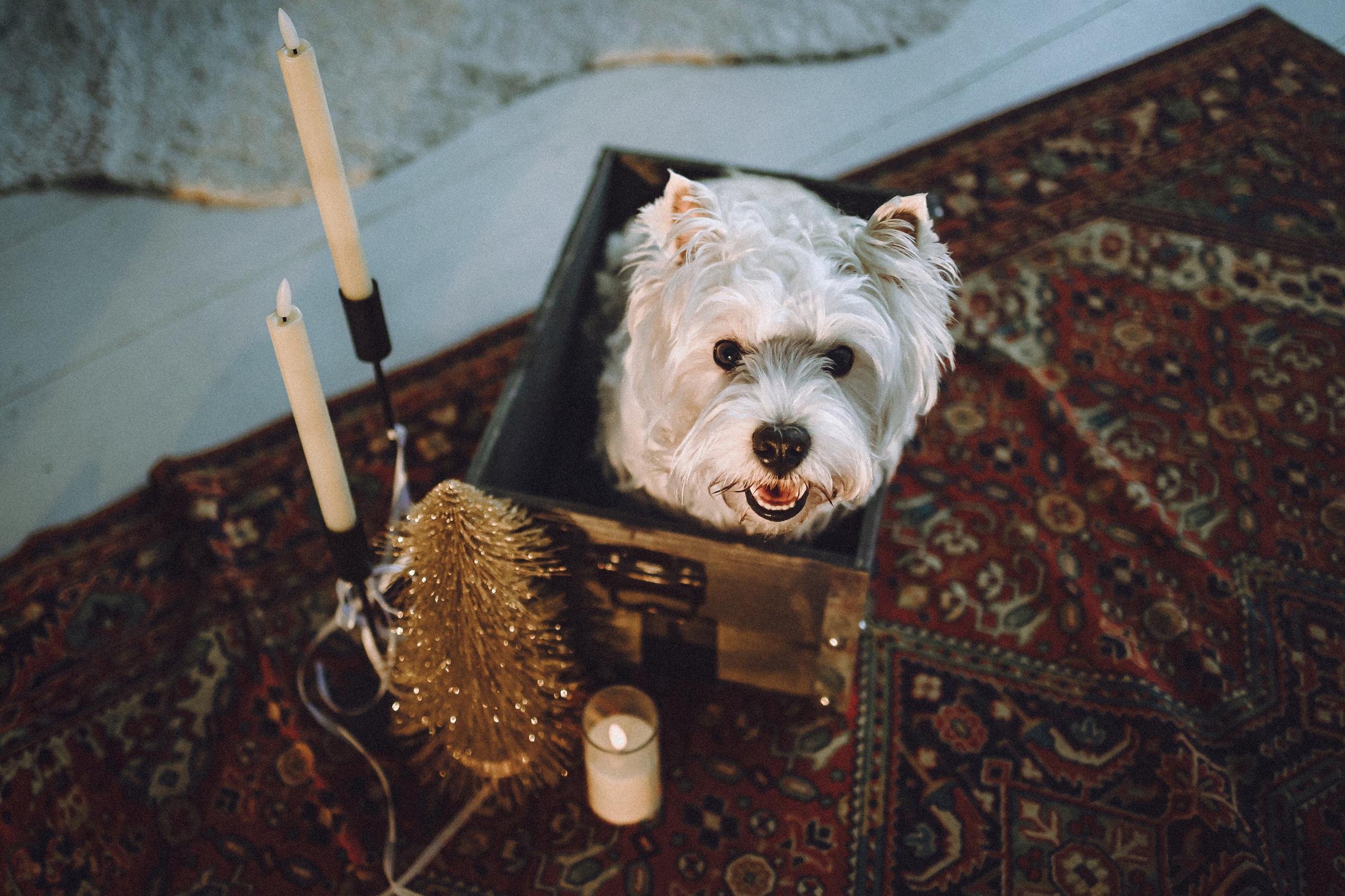 Вика, Глеб и Тори