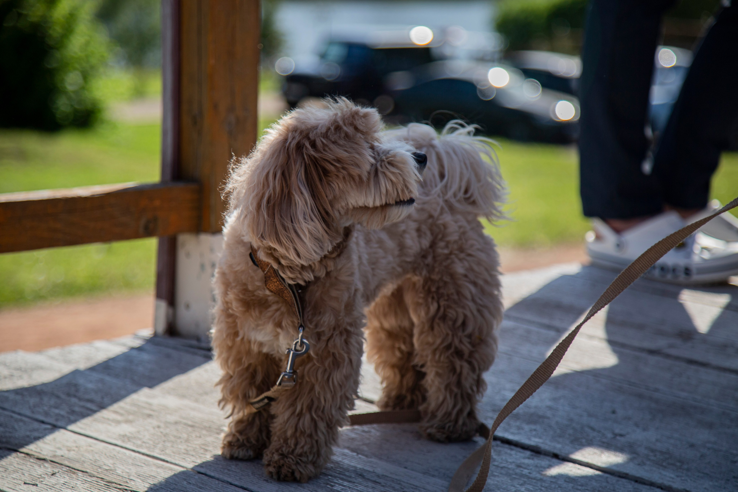 Юбилей. 𝓕𝓸𝓽𝓸𝓰𝓻𝓪𝓯 𝓑𝓪𝓵𝓪𝓼𝓱𝓲𝓱𝓪 / 𝓜𝓸𝓼𝓴𝓿𝓪
