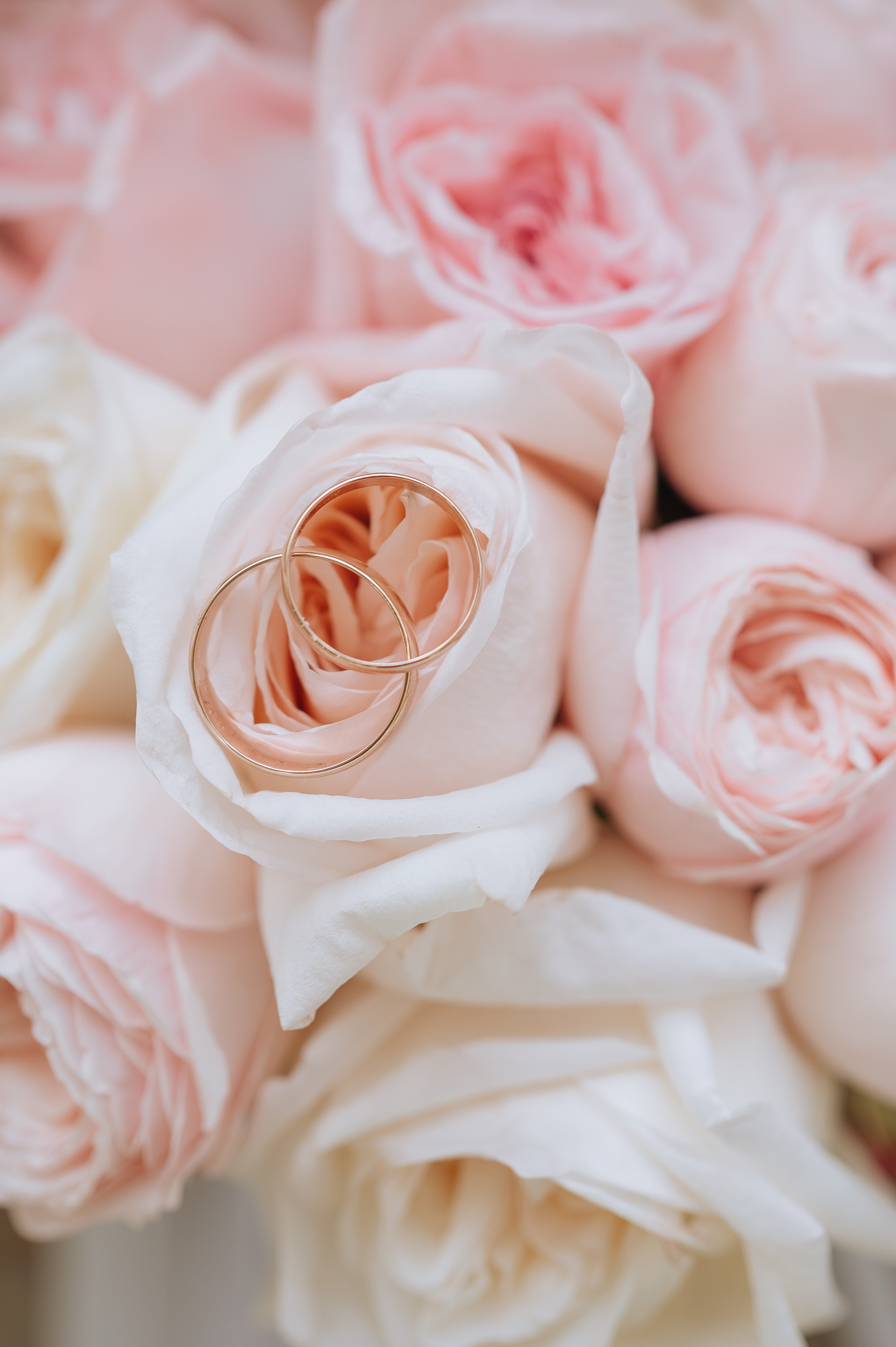 Свадебная фотосессия Дмитрия и Натальи. Фотограф в Москве и Московской области Таня Яблочкина