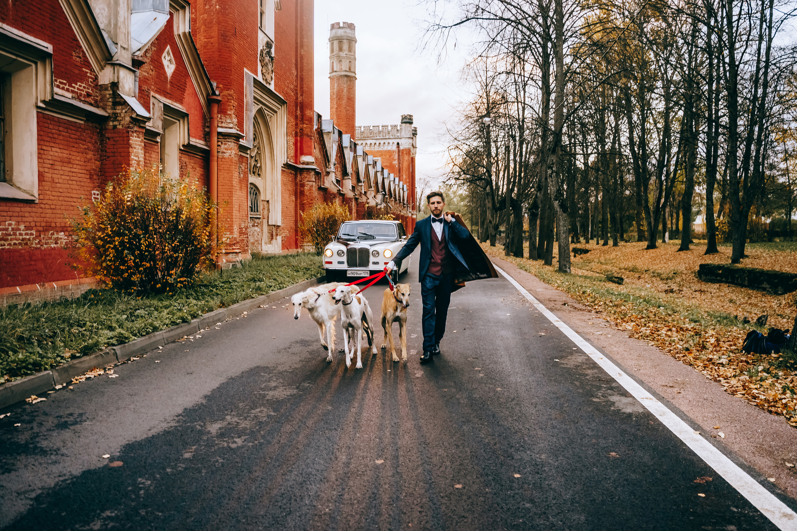 Aristocracy. Photographer Natalia Baranova