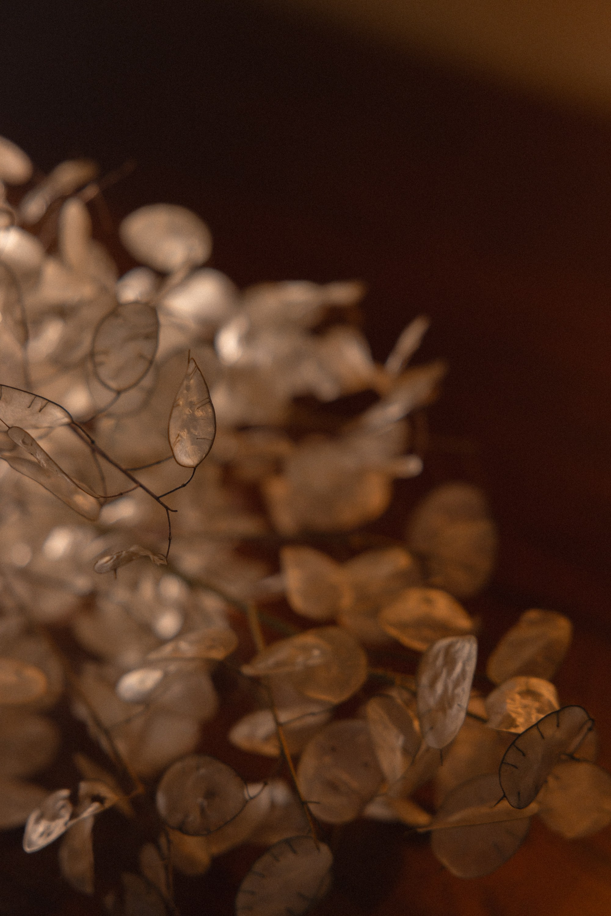 Свадебные фото. Свадебный фотограф  г. Тюмень Ольга Арсенюк