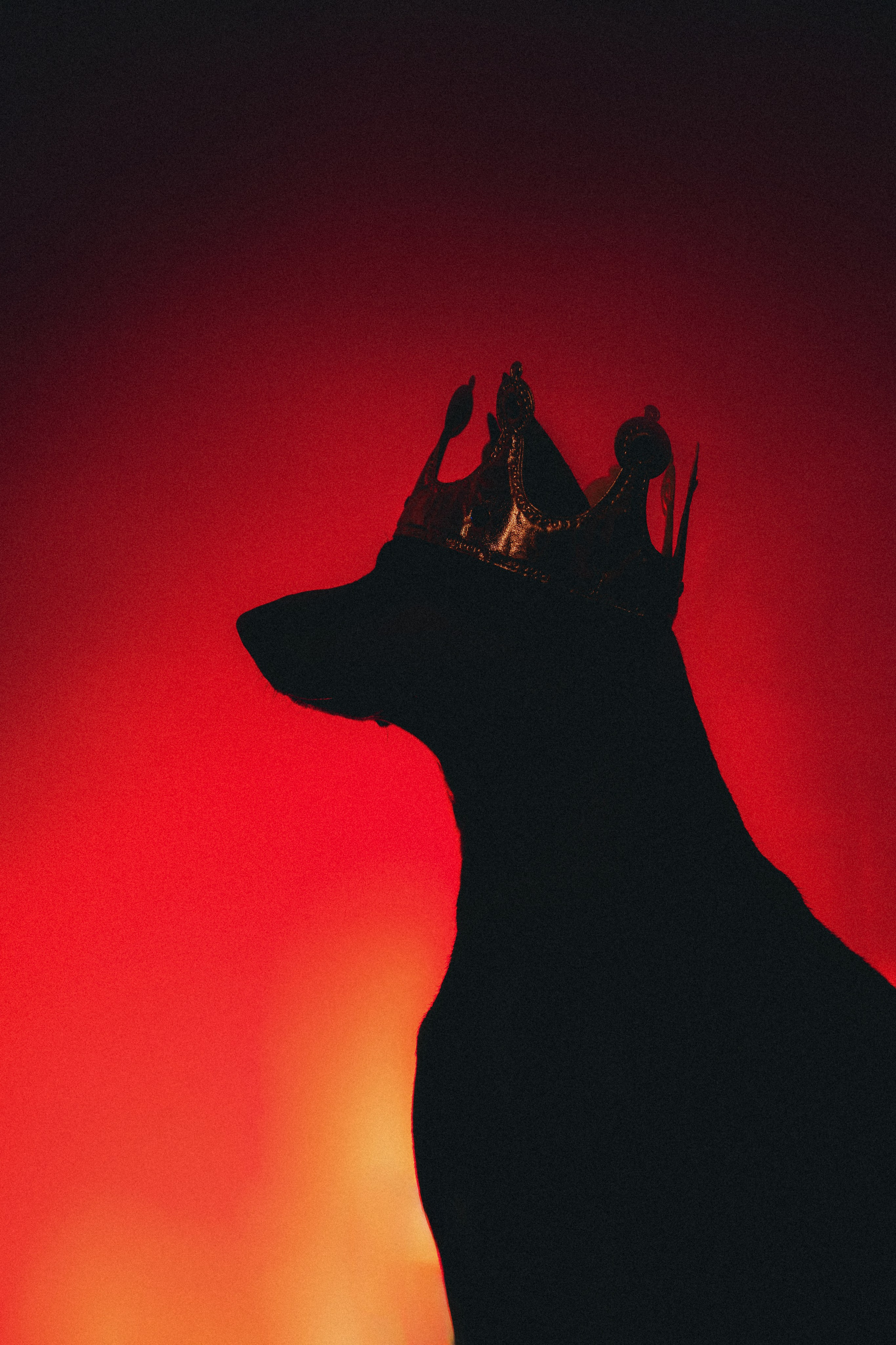 Оксана и Зевс