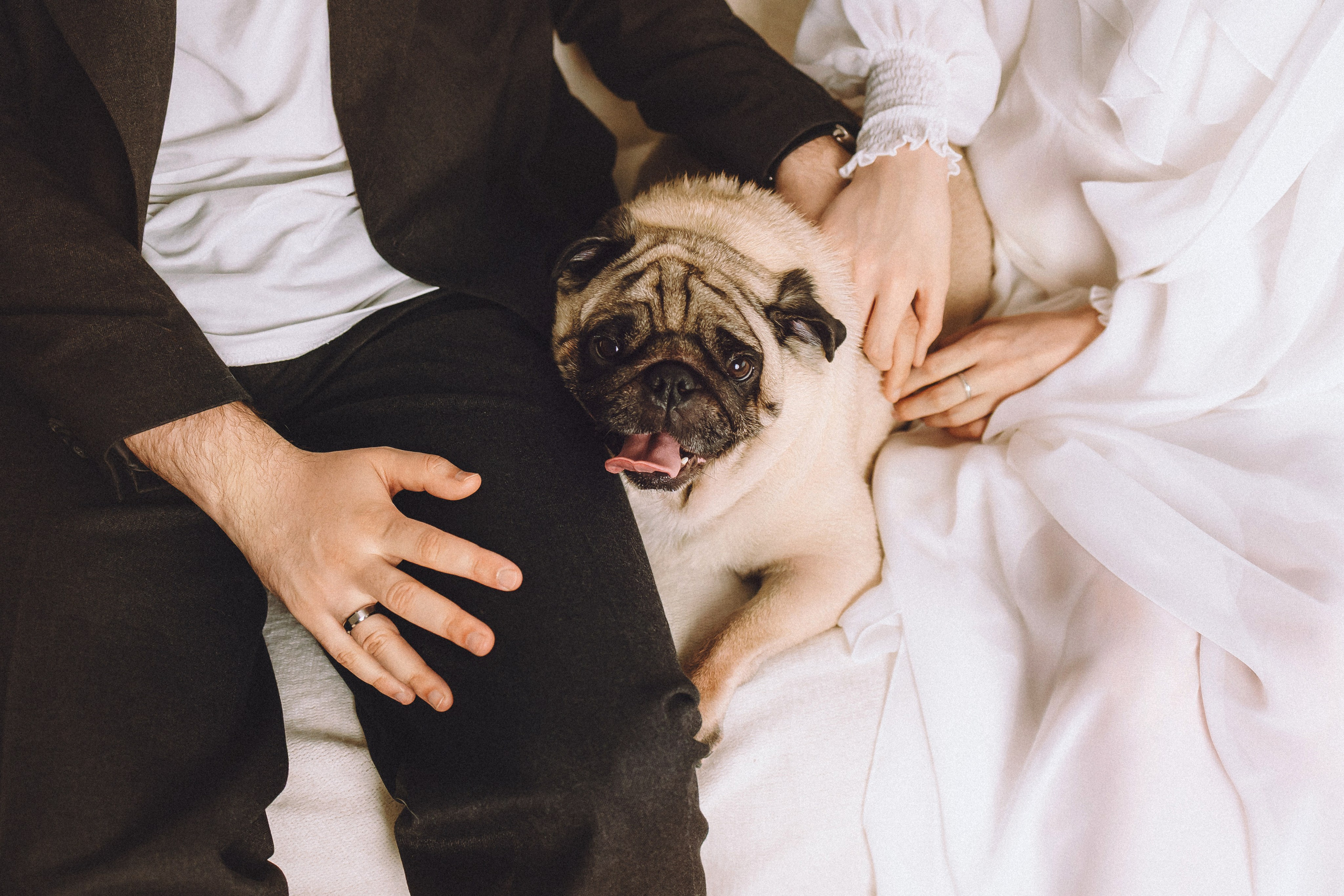 Денис, Василина, Гаврюша и Кнопка