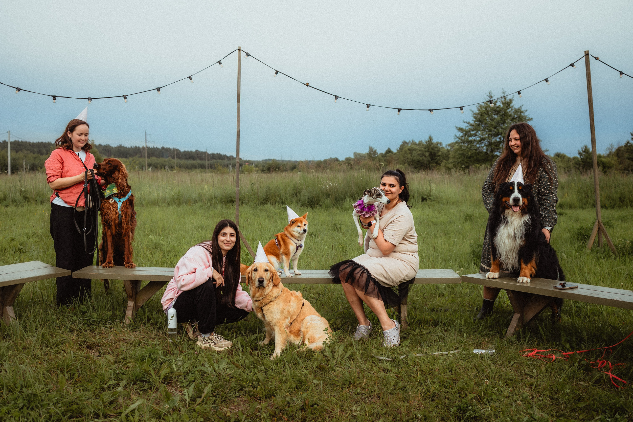 Выездной дог-тренинг от школы «Шерсть имею»