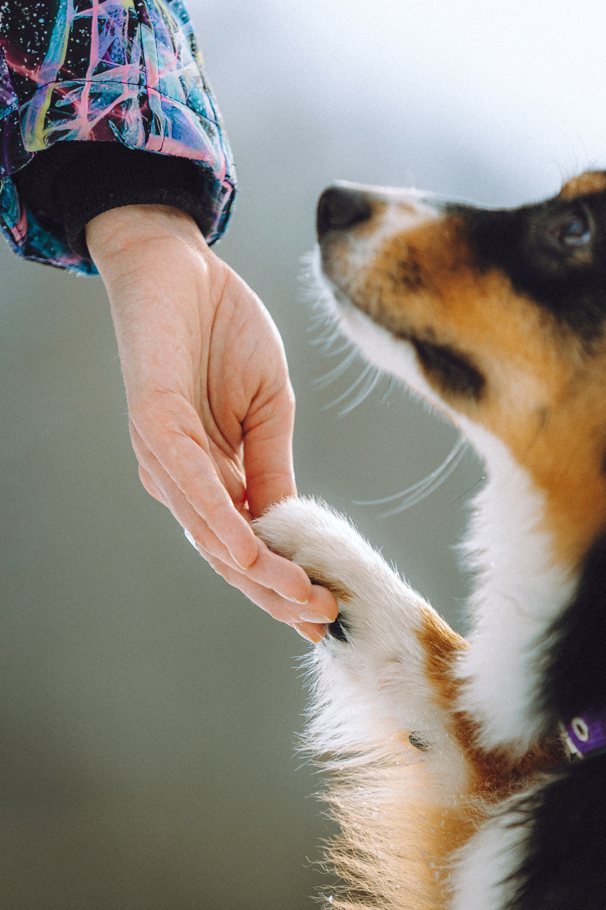Таня, Ваня и Гром