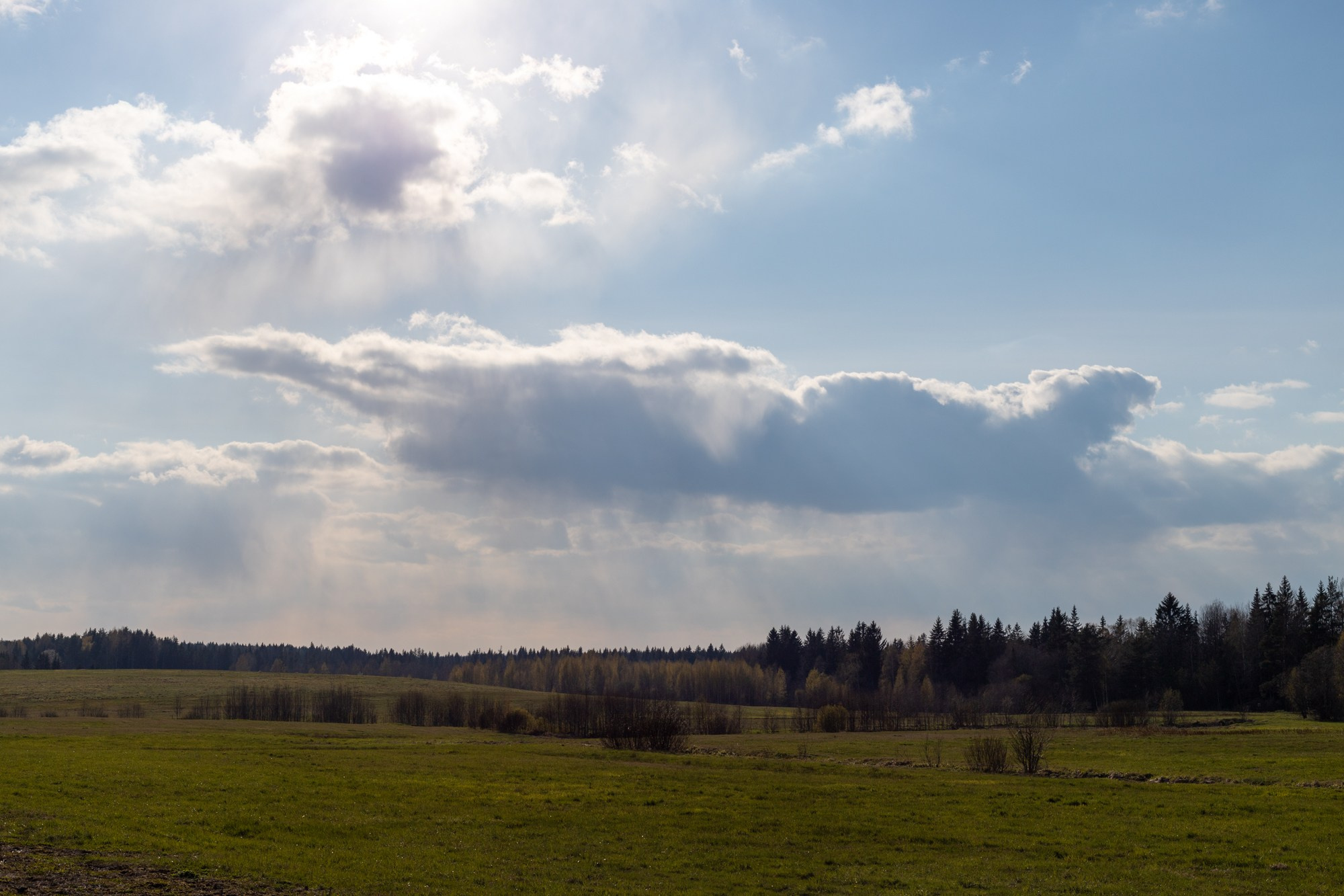 Дом в Осельках. Полина Носкова интерьерный фотограф