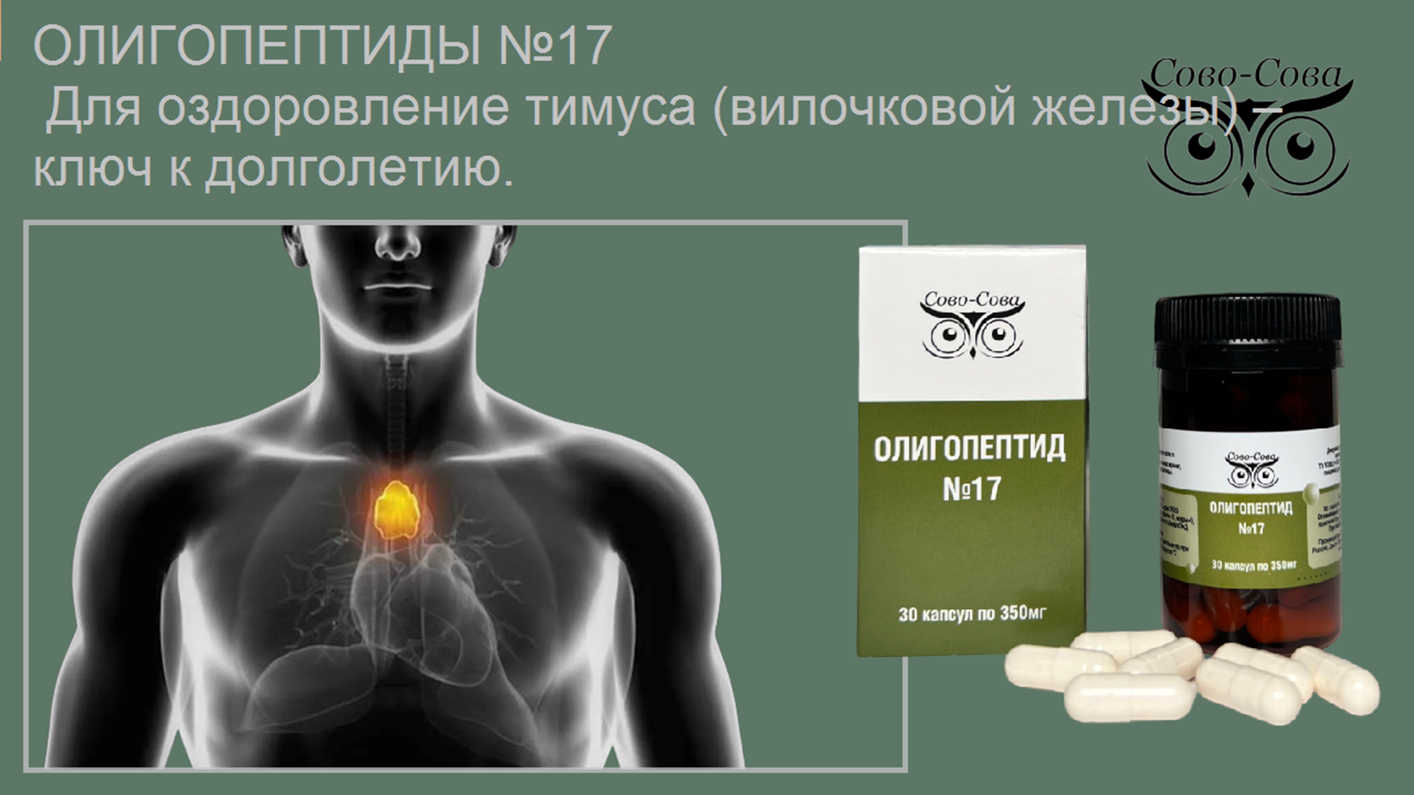 Олигопептид № 17 — Для оздоровление тимуса (вилочковой железы)