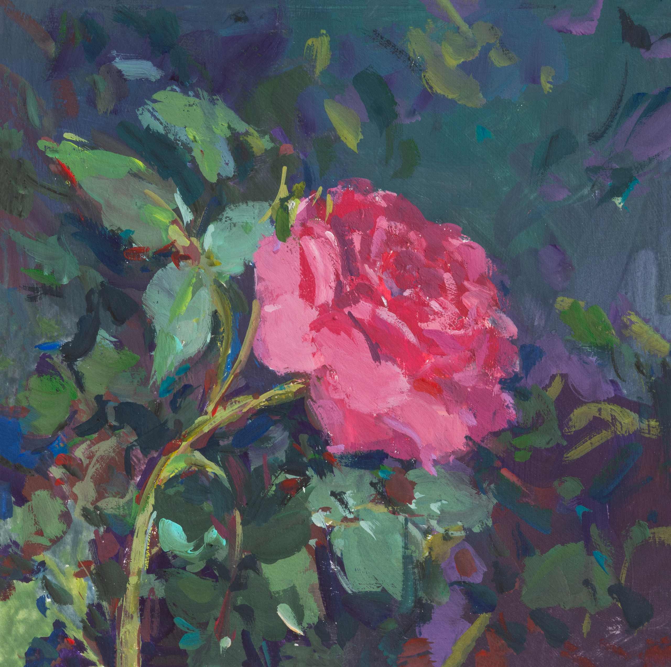 "Pink tenderness" cardboard, gouache 17.5x17.5cm, 2025