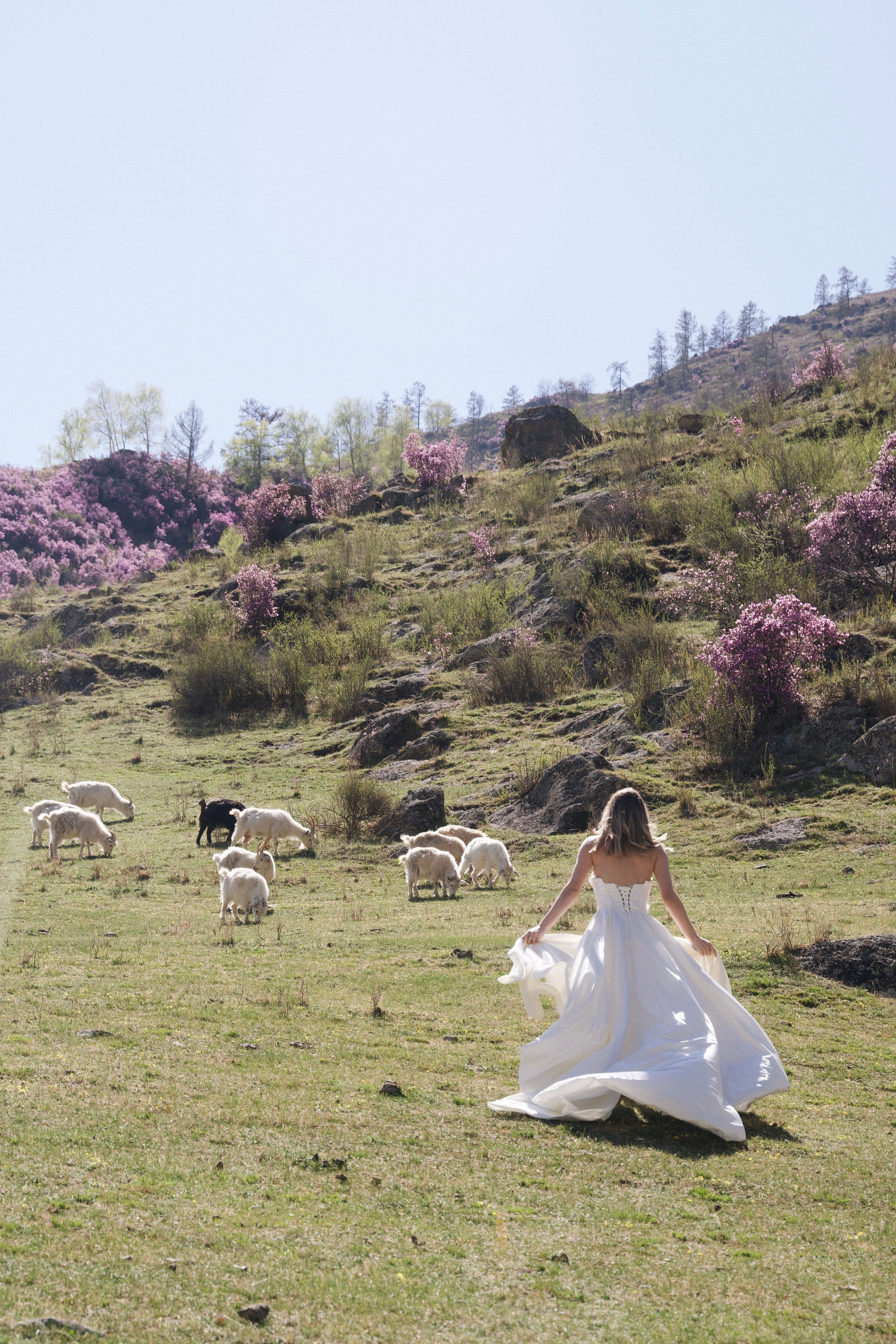 Bonfilia. Photokoval.ru