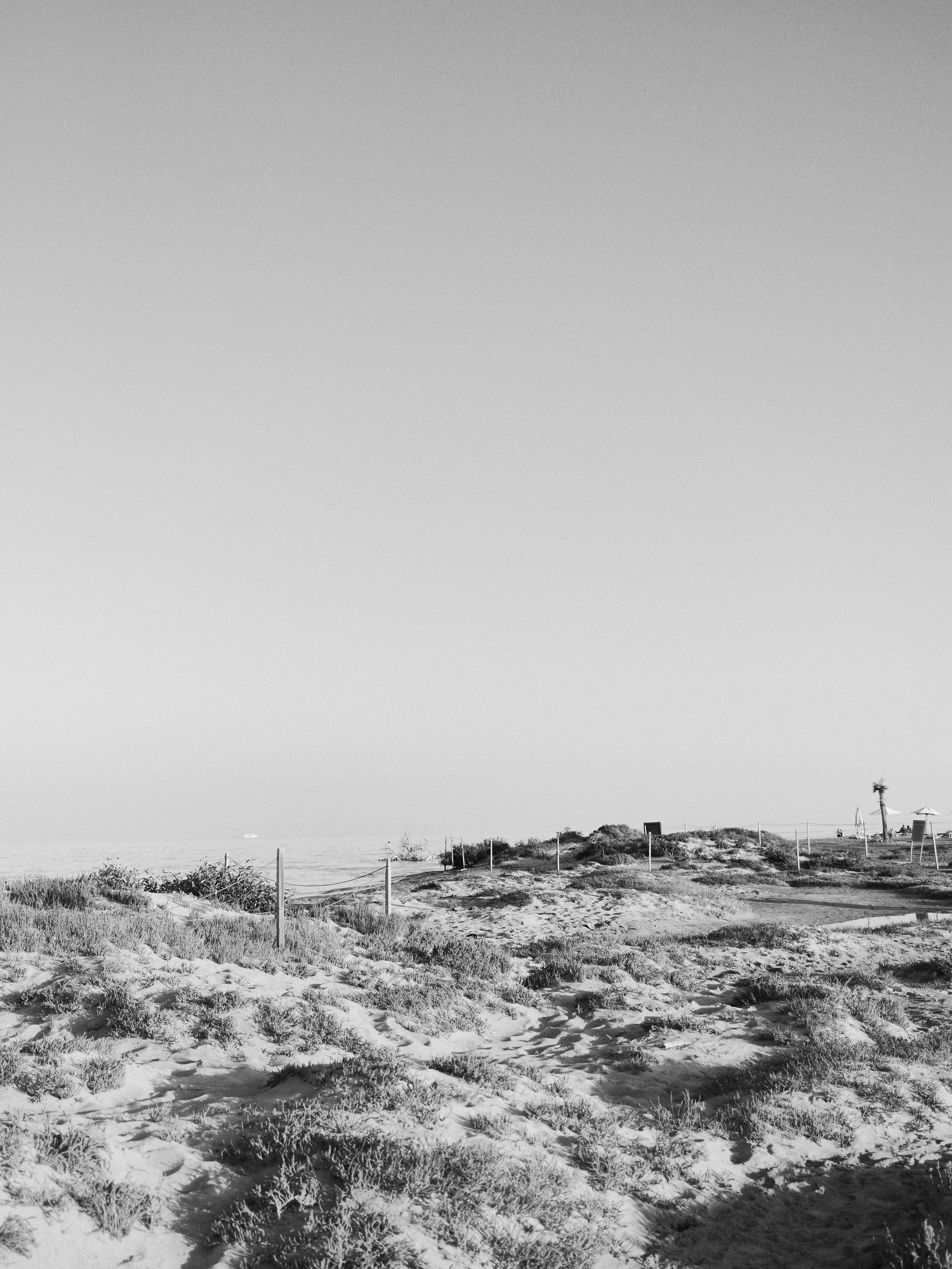 Другое 3. Jorgis — фотограф в Хургаде / обучение фотографии