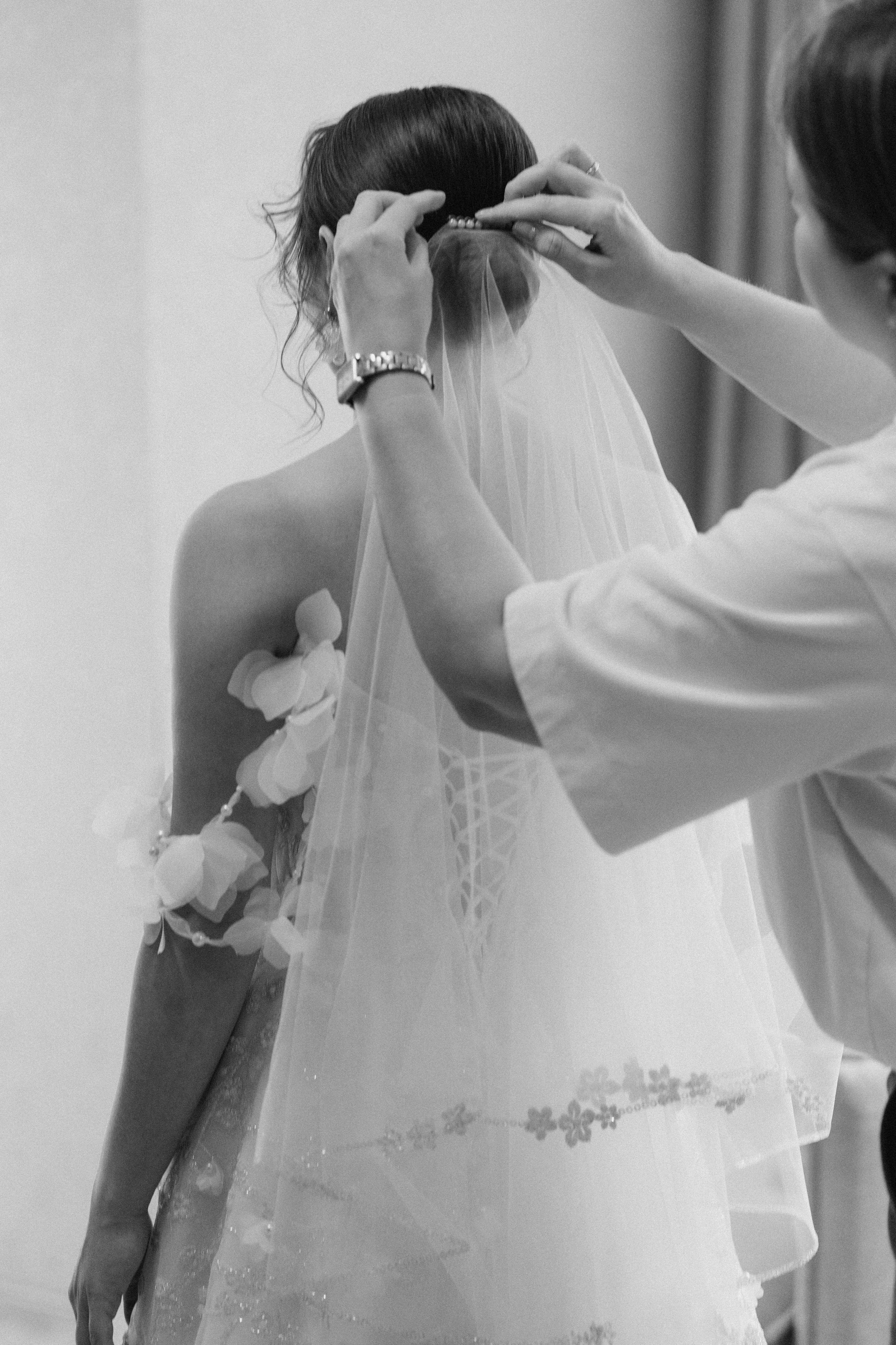 София и Даниил. Главная