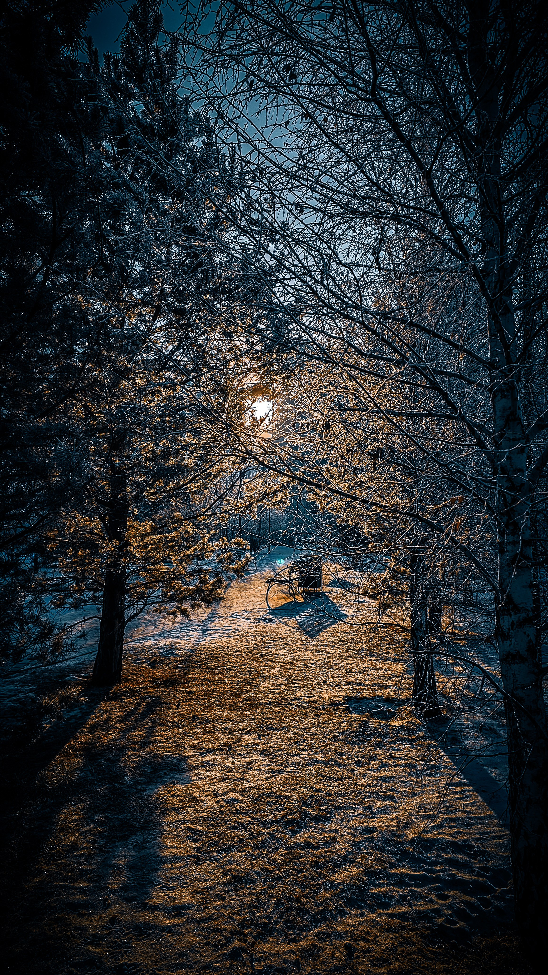 Скоро лето. Игорь Урывский. Фотограф Красноярск