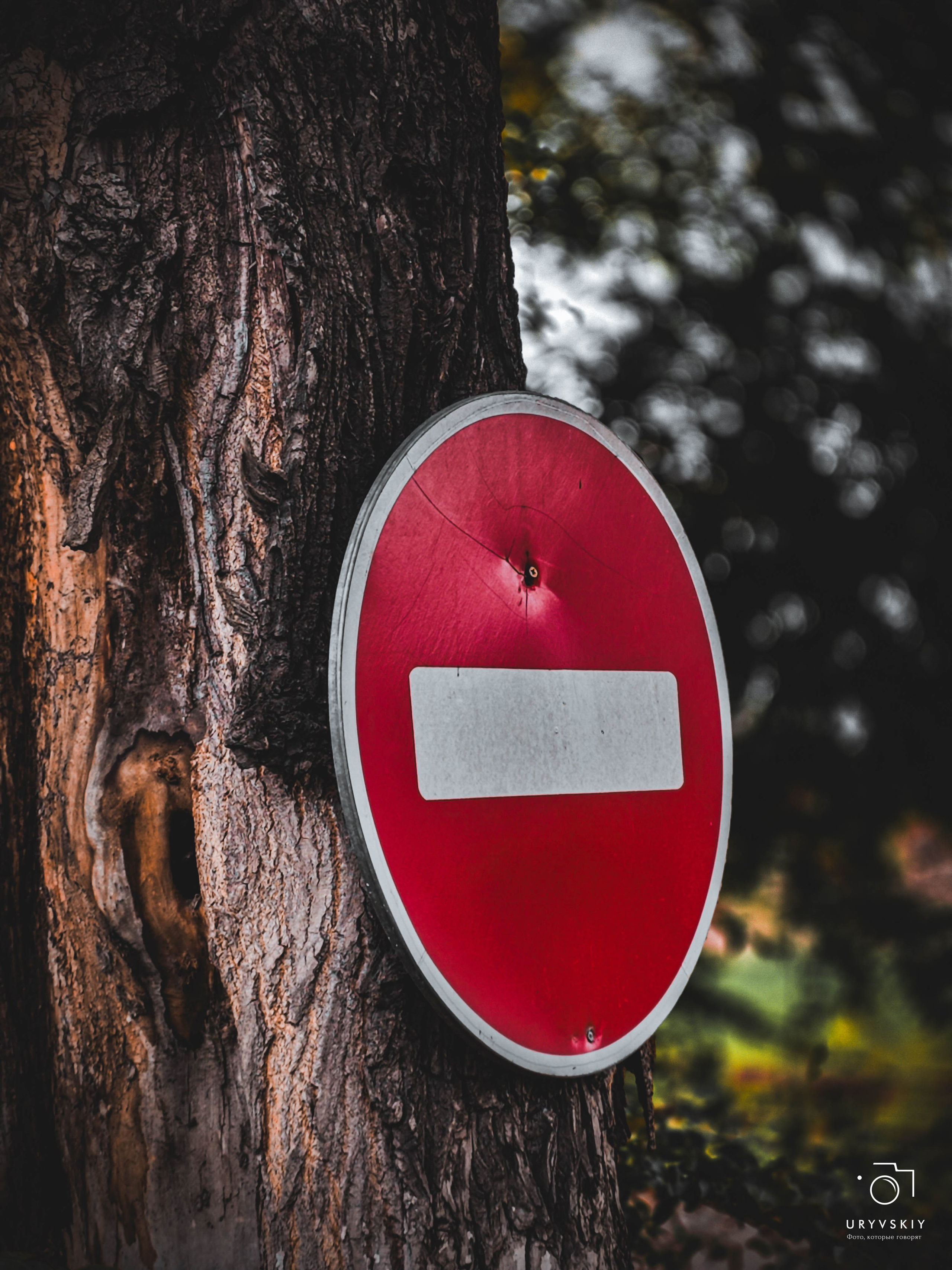 Красноярский электровагоноремонтный завод. Игорь Урывский. Фотограф Красноярск