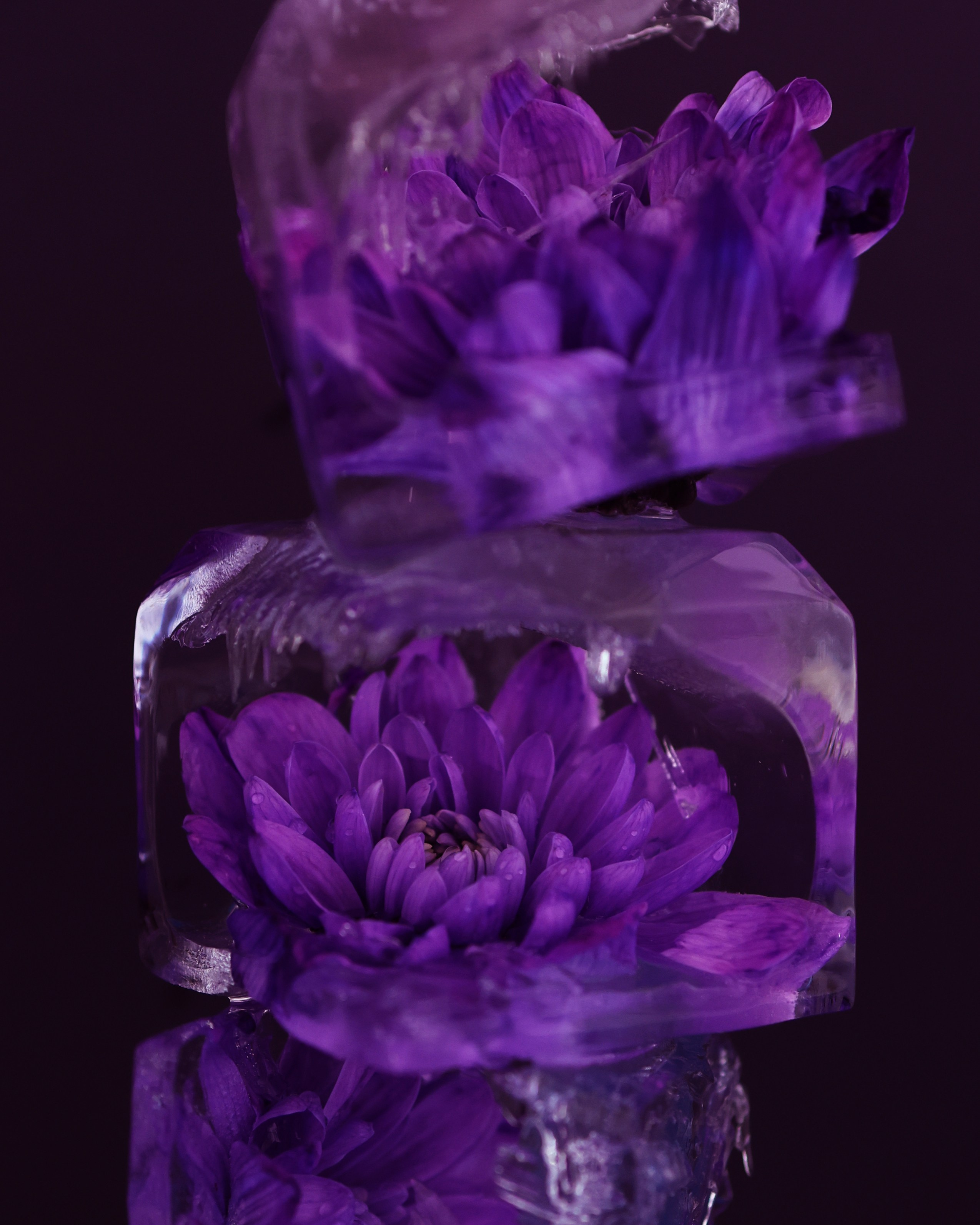 Предметная съемка в Москве. Услуги предметного фотографа