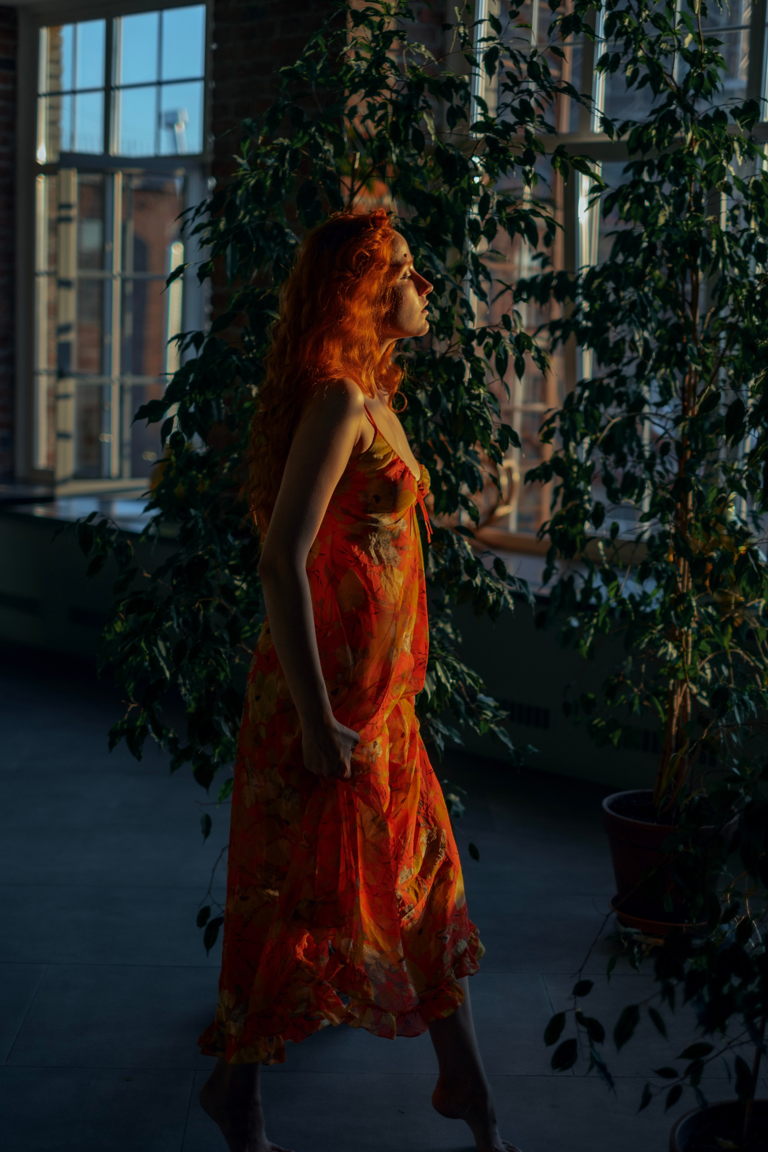 Garden. Andrey Bogdanov Photo