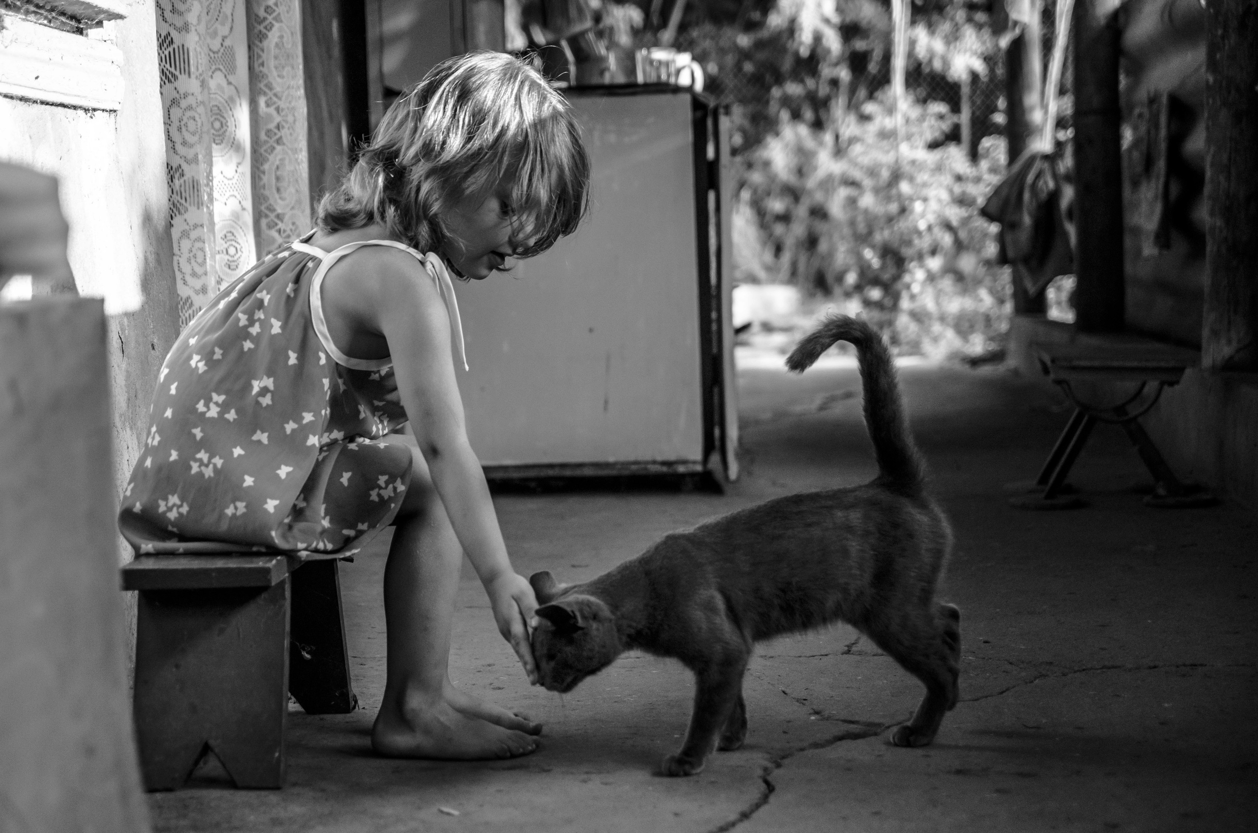 Серии «Кошка». Мультижанровый фотограф Дарья Strebog