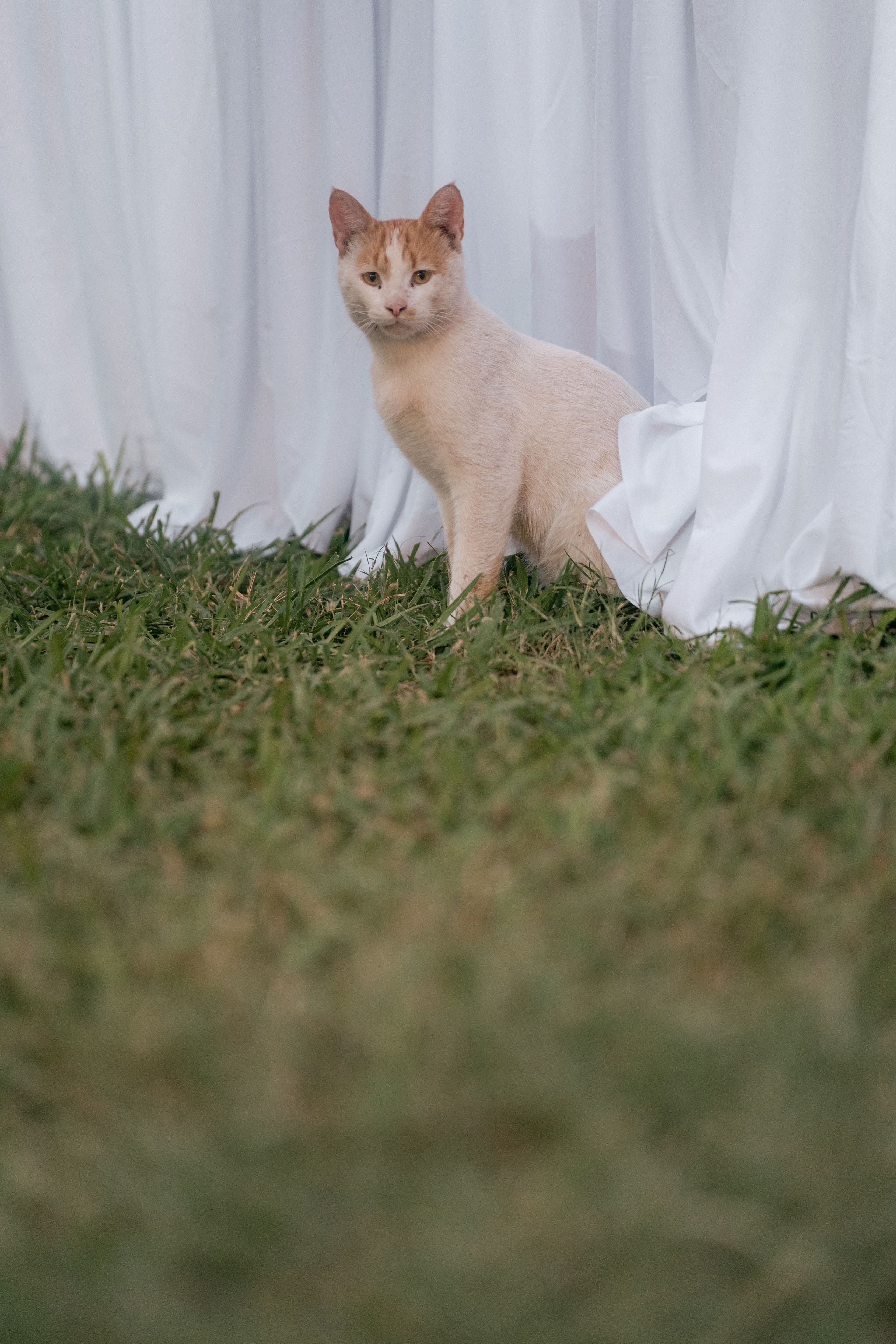 A German wedding among palms. Wedding & Documentary Photographer based in Nuremberg — available across Europe & Turkey | Vitalii Nasonov