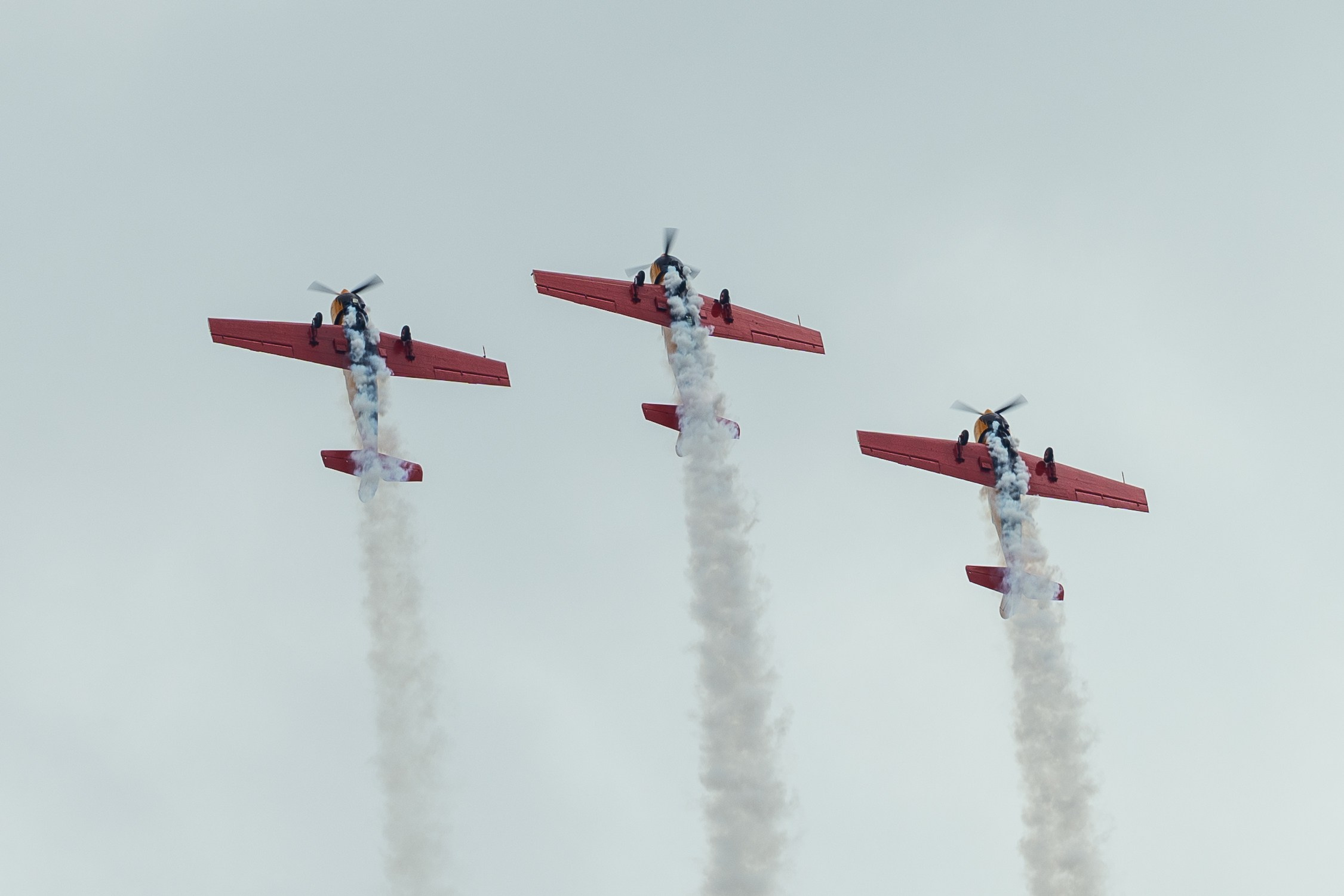 ПАРИ ФЕСТ. Sunnyman