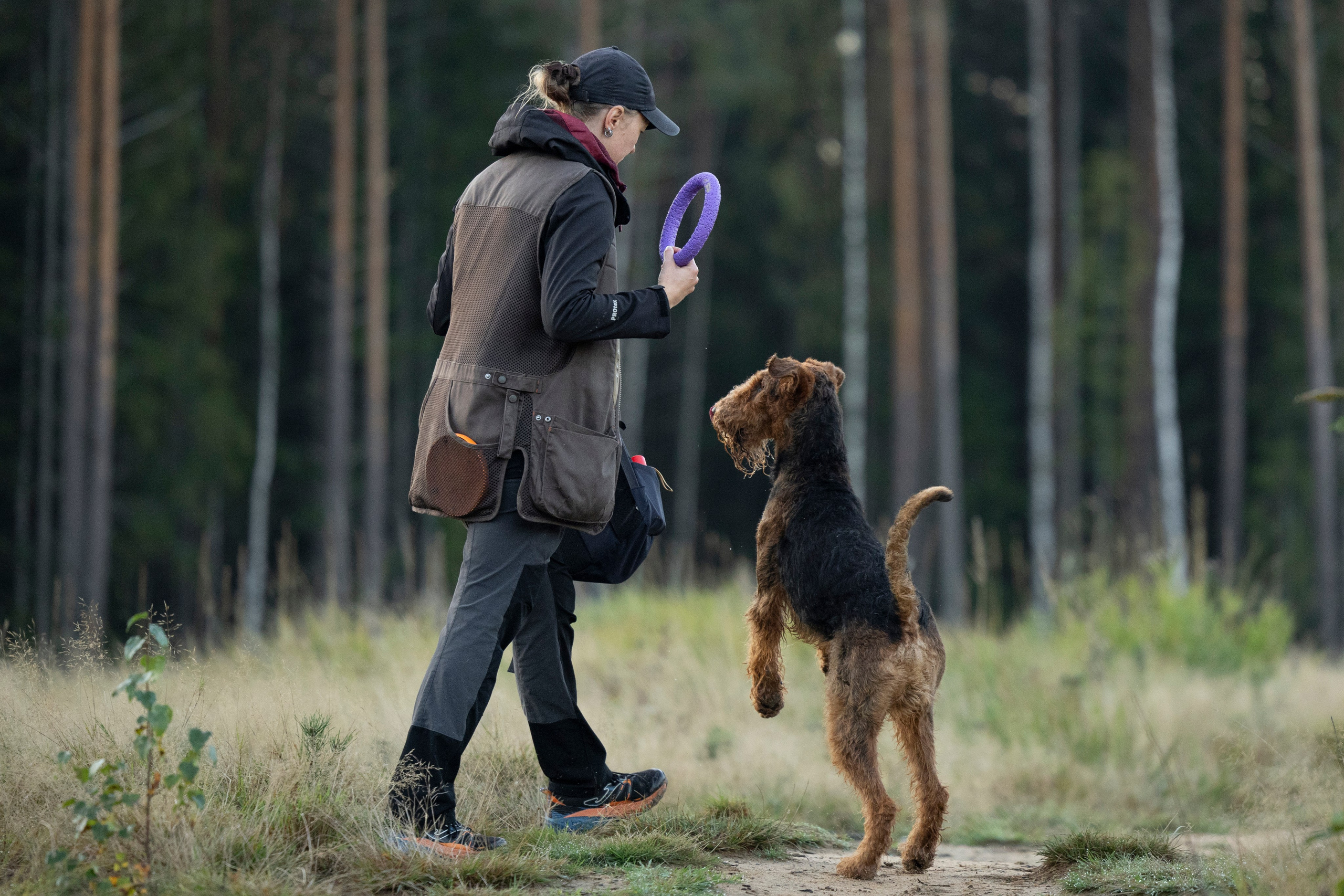 Харди. Фотограф-анималист Анна Маринич
