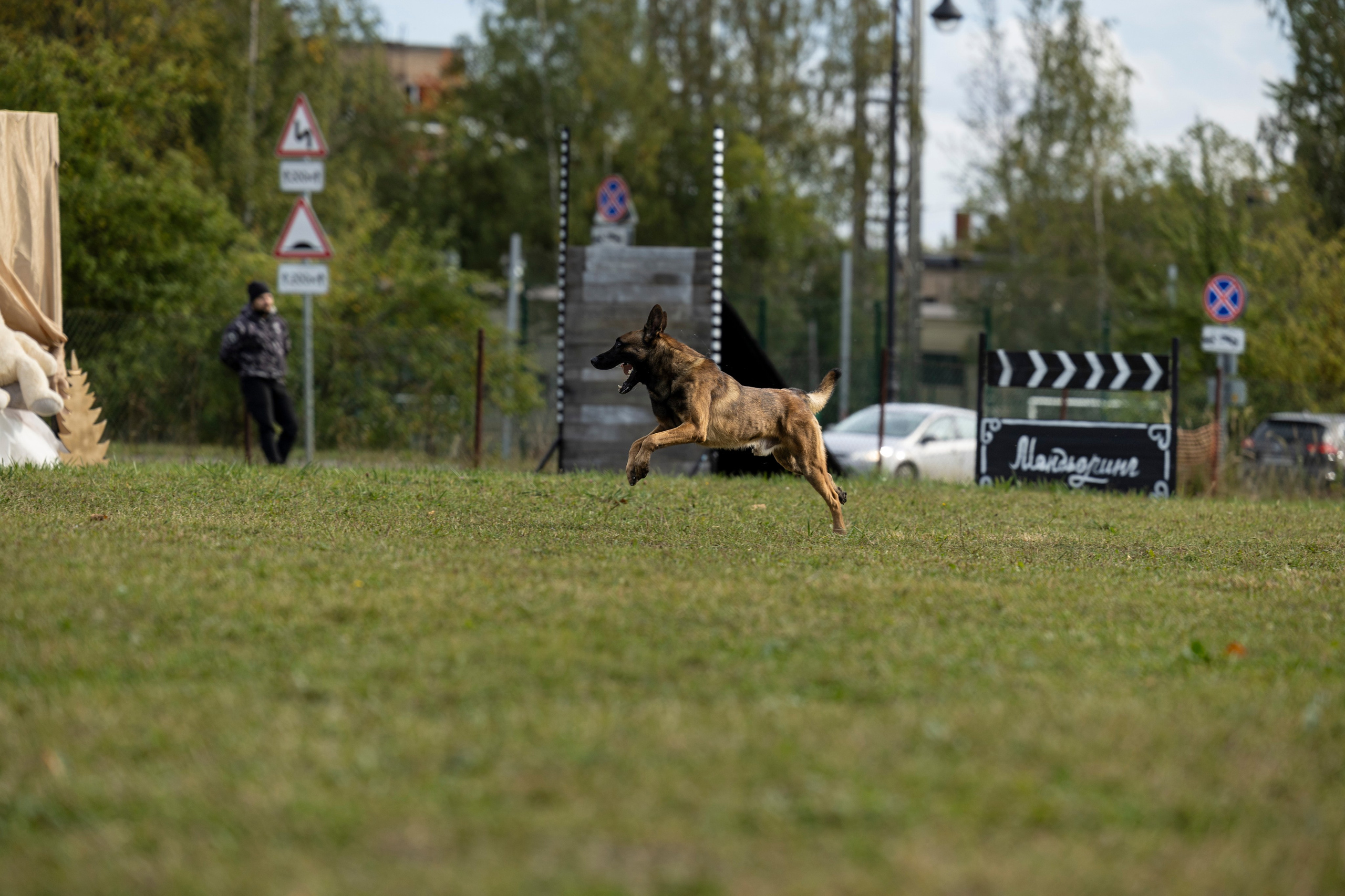 Испытания по Мондьорингу г. Пушкин. Фотограф-анималист Анна Маринич