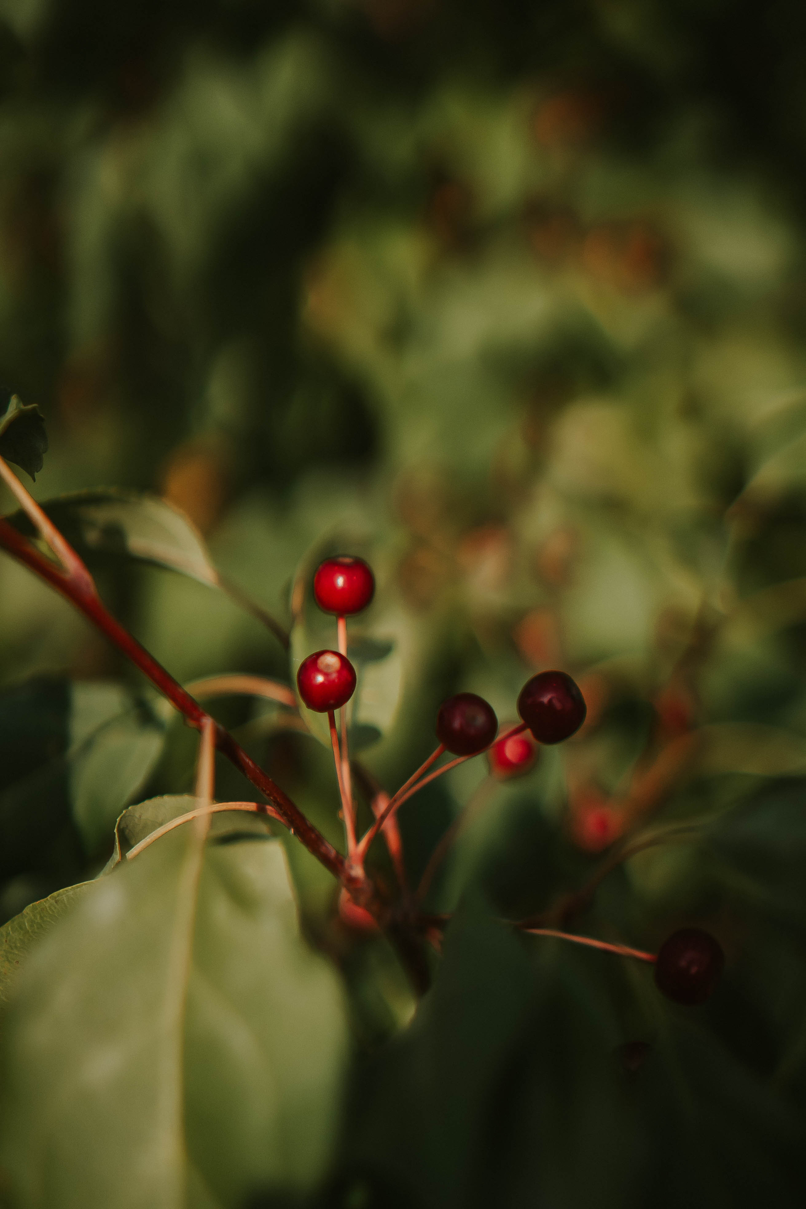 Мы найдём где укрыться