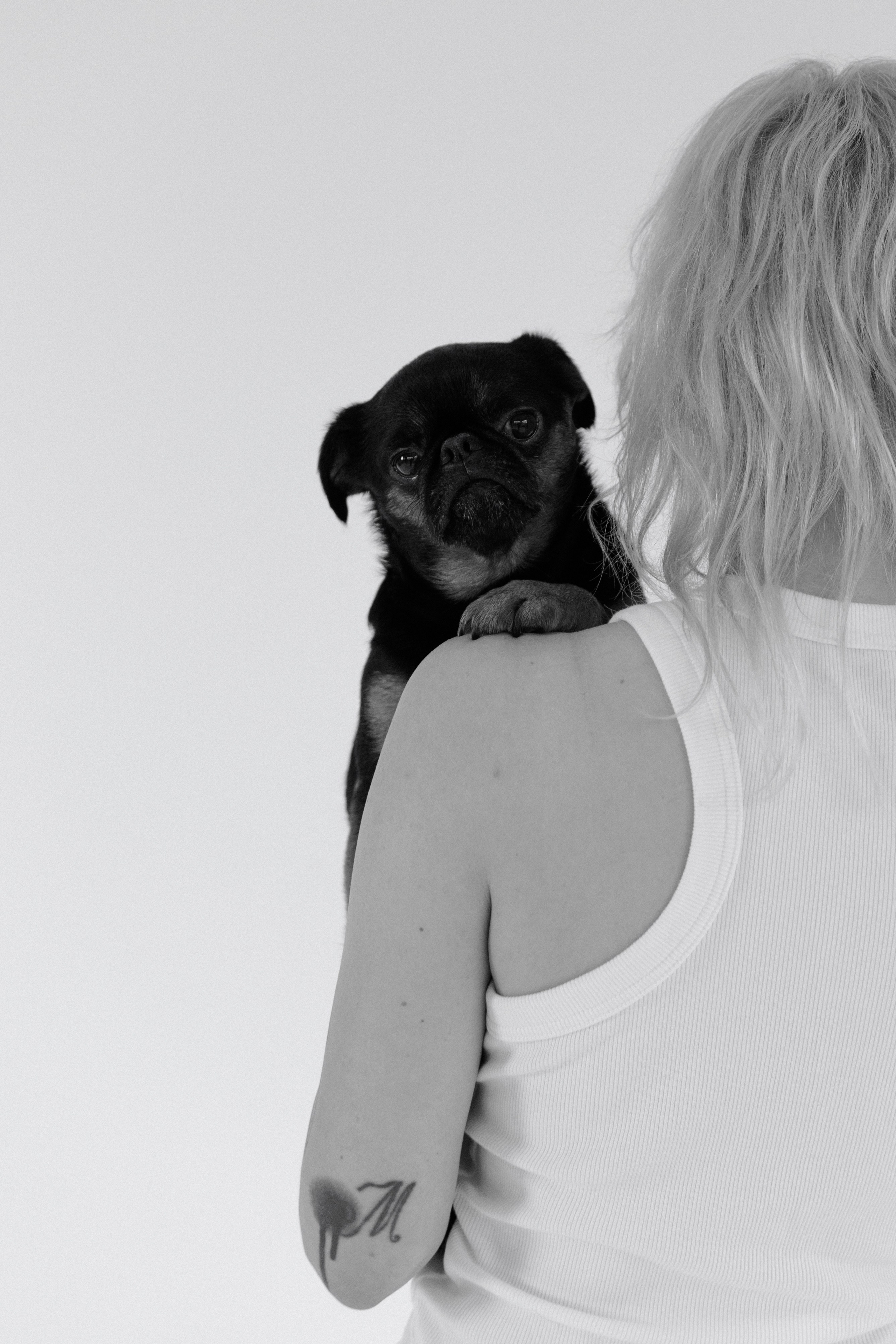 Съемки с собаками. Портретный фотограф в Москве Тимур Мансуров