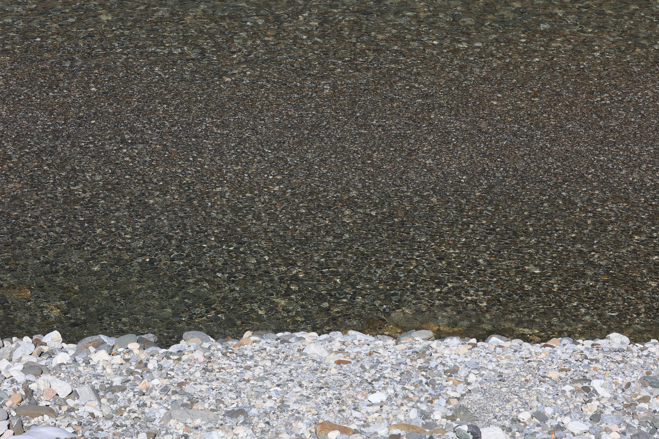 2023. Тащилин Сергей. Фотографии. Жизнь. Хобби