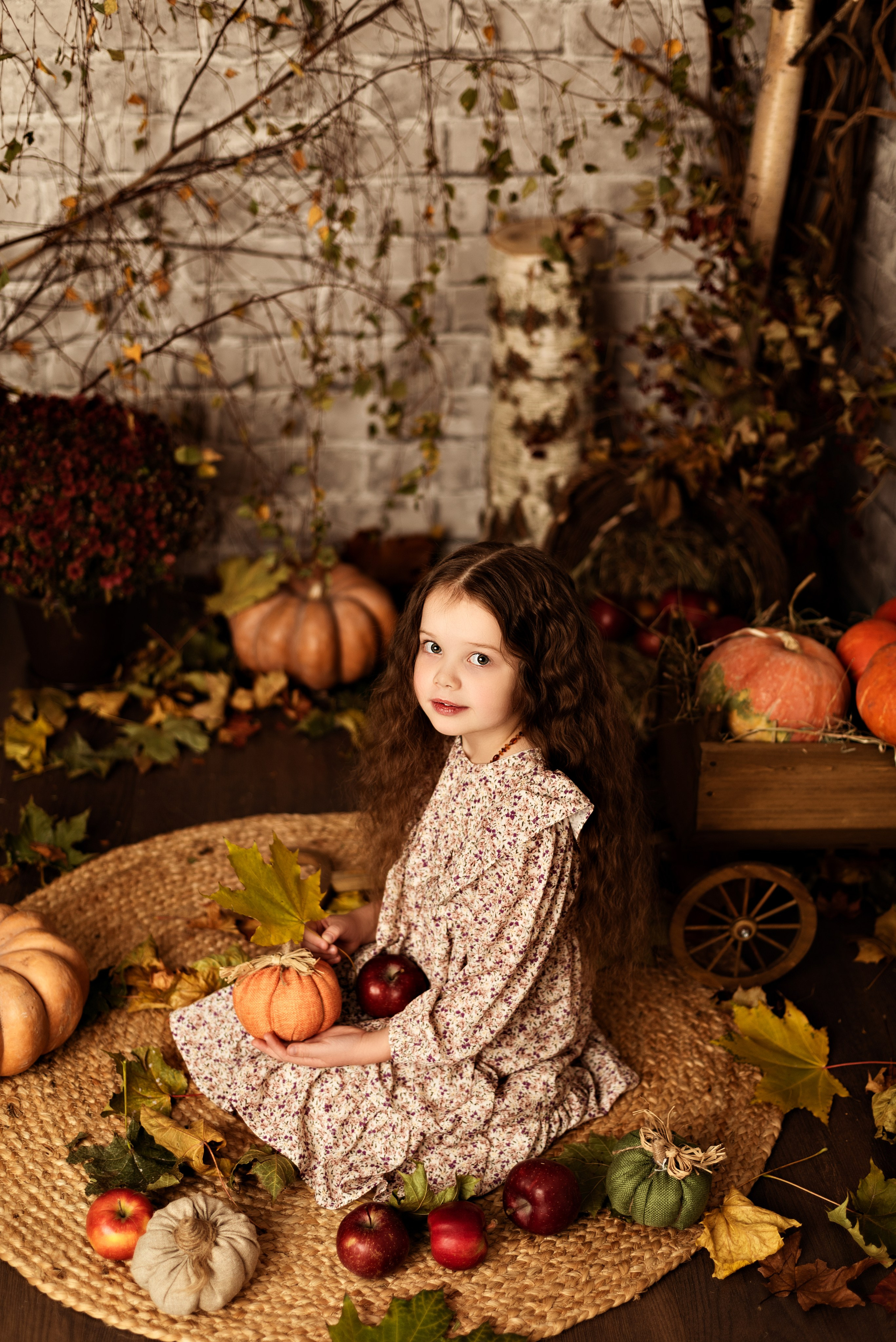 Цены. Детский и семейный фотограф в Люберцах Татьяна Ткаченко