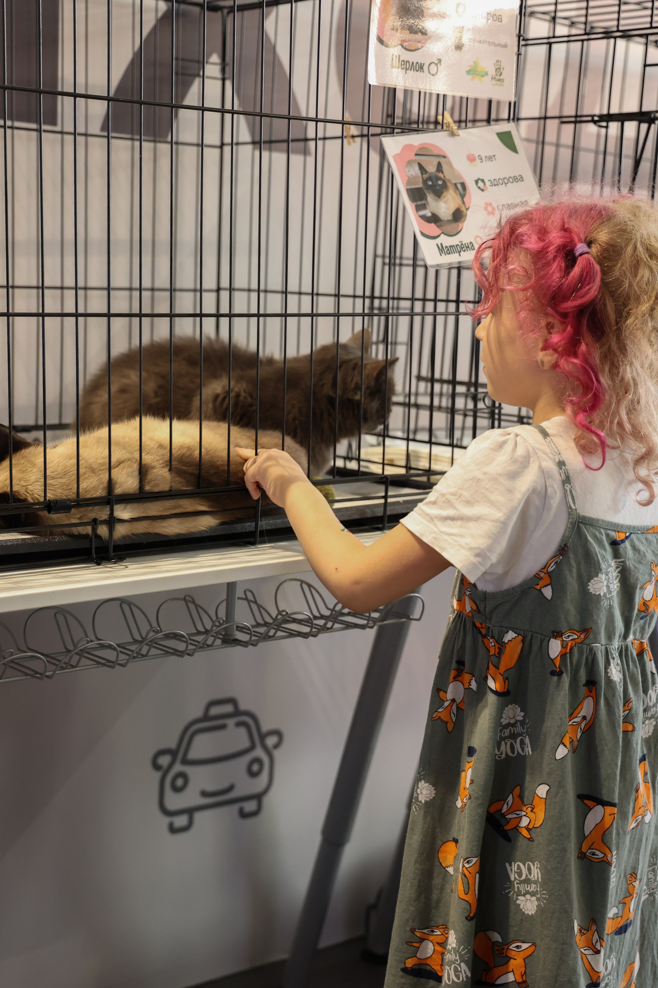 ECO FEST. Фотограф Вадим Бодылев