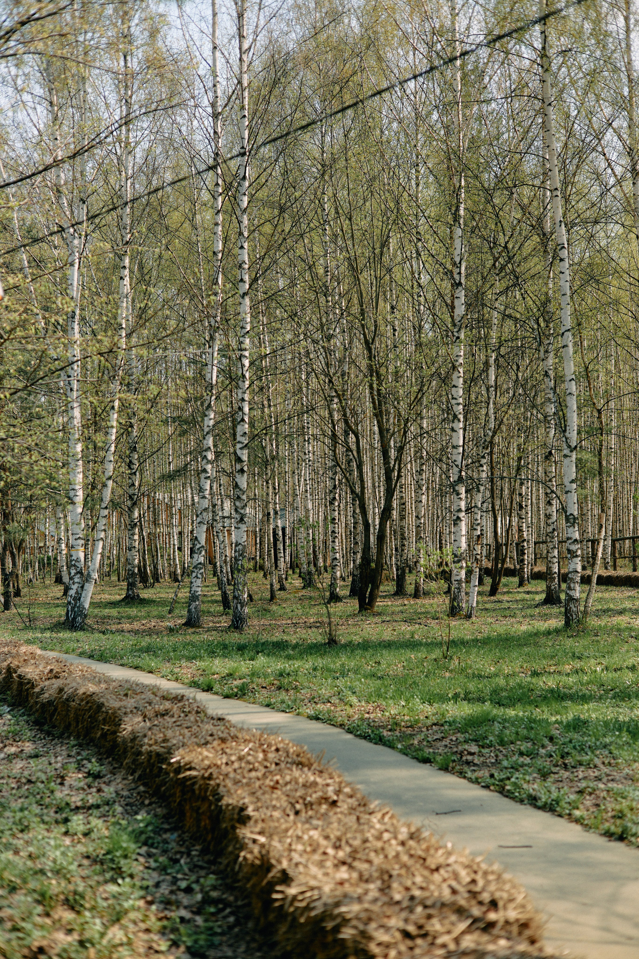 Бутик-отель Поле летом. Профессиональный Фотограф во Владимире, в Москве и в Суздале — Полина Романычева