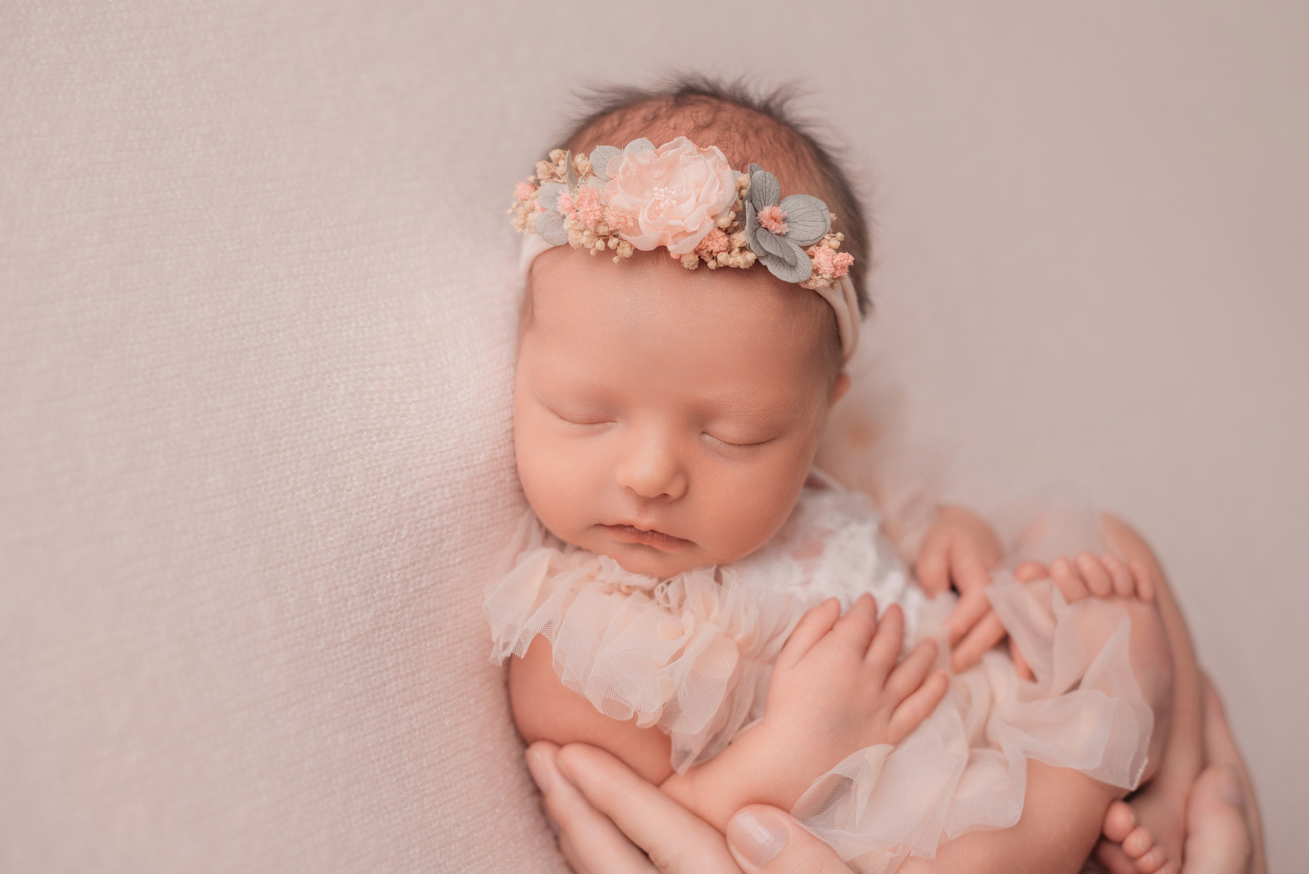 Ева. Фотограф новорожденных Белгород