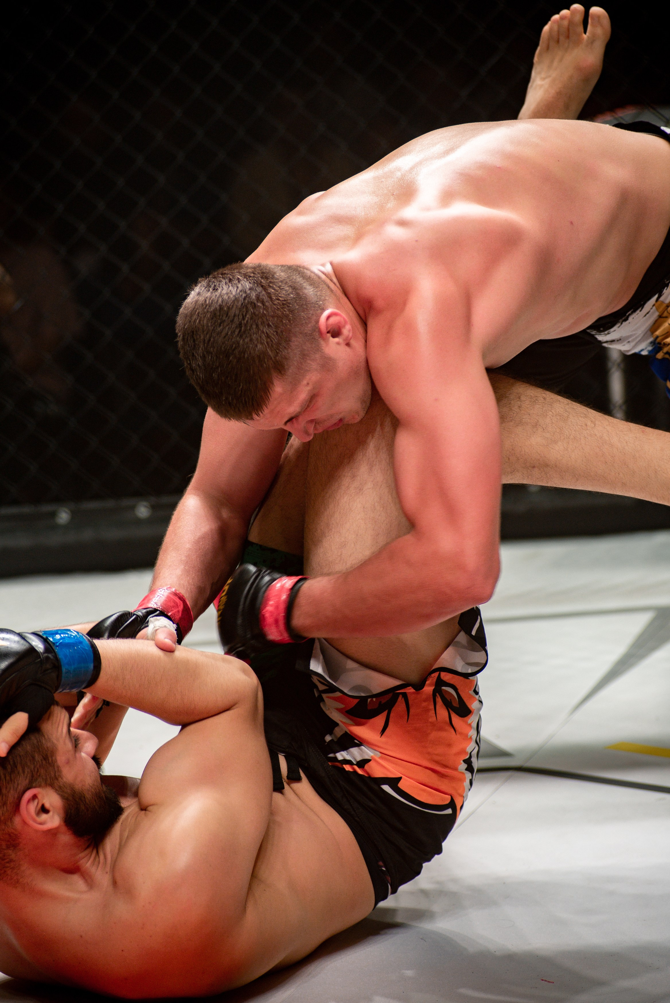 Miroslava Fight