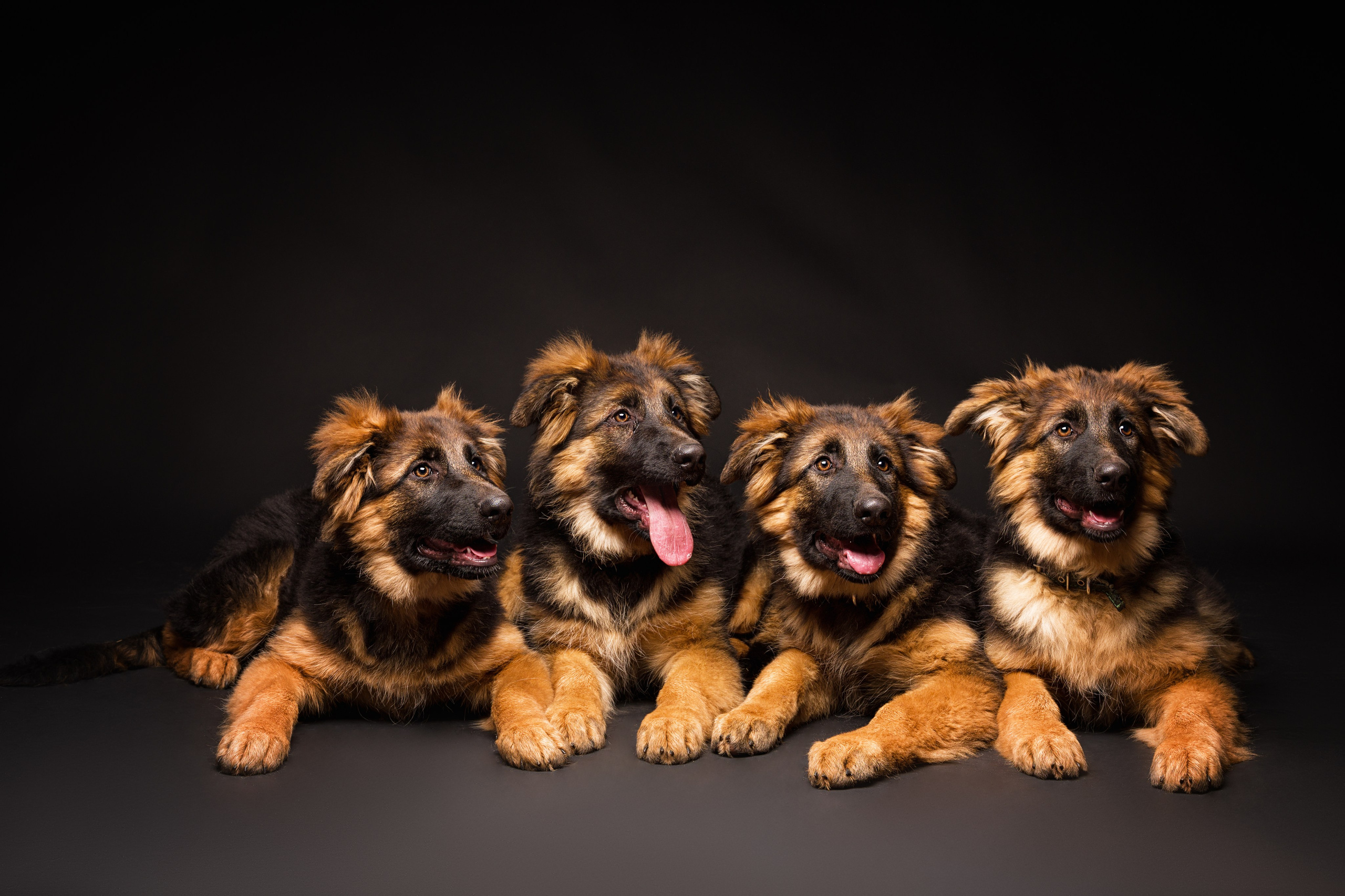 Студийные съемки. Портретный фотограф в Челябинске Катерина Руди