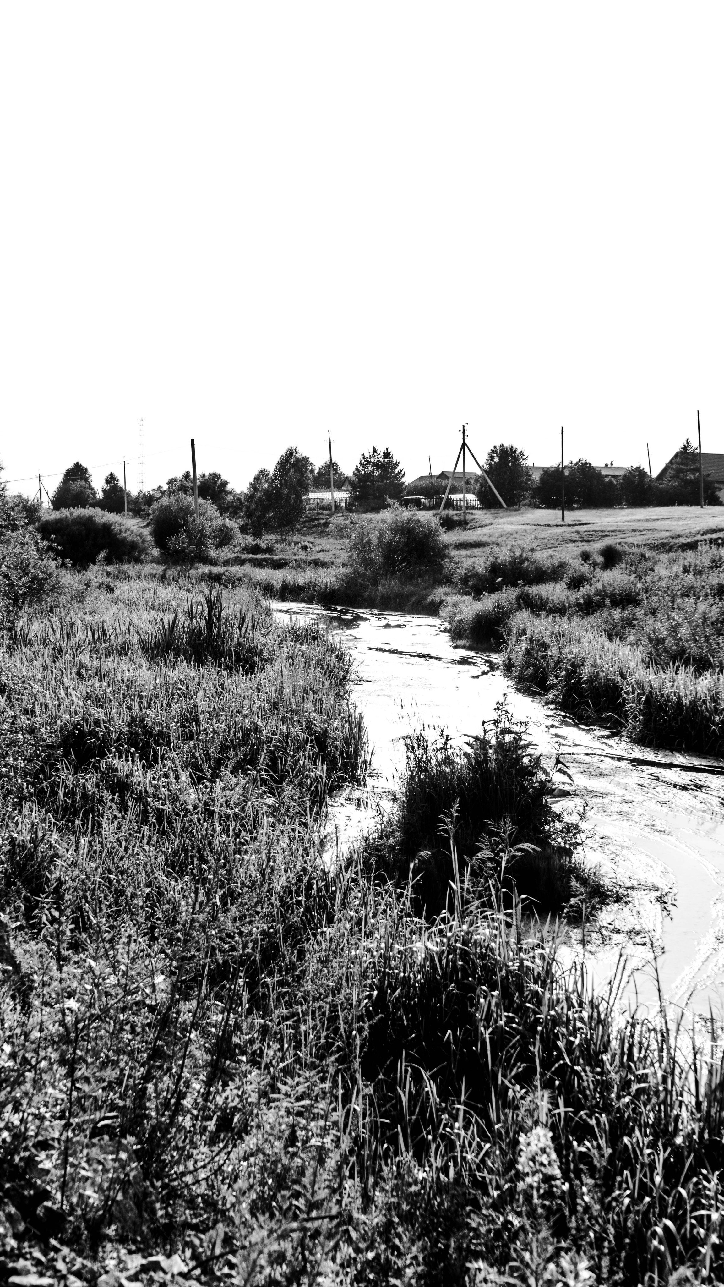 Natural Noir. Whoii art