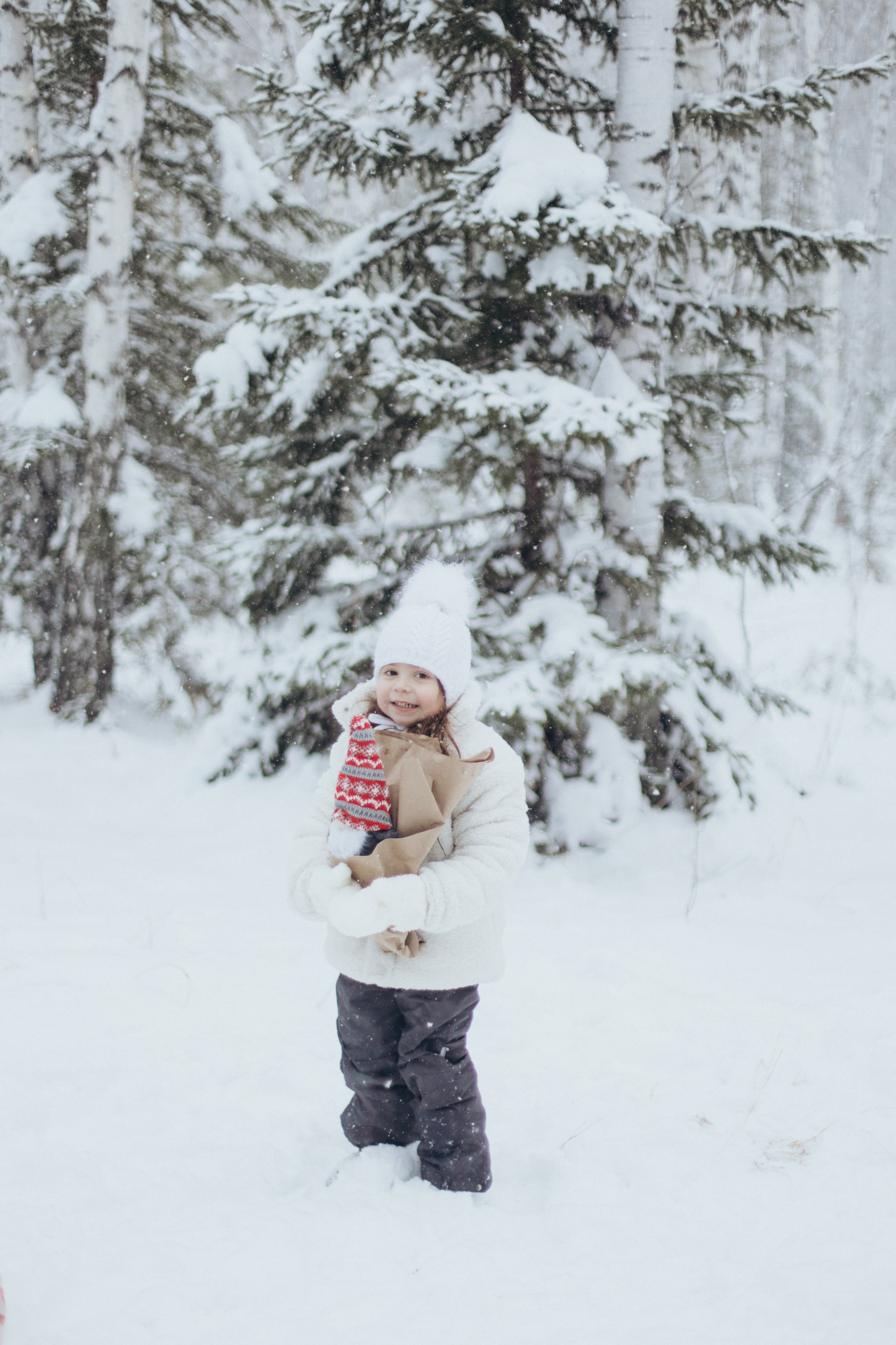 Зимняя история