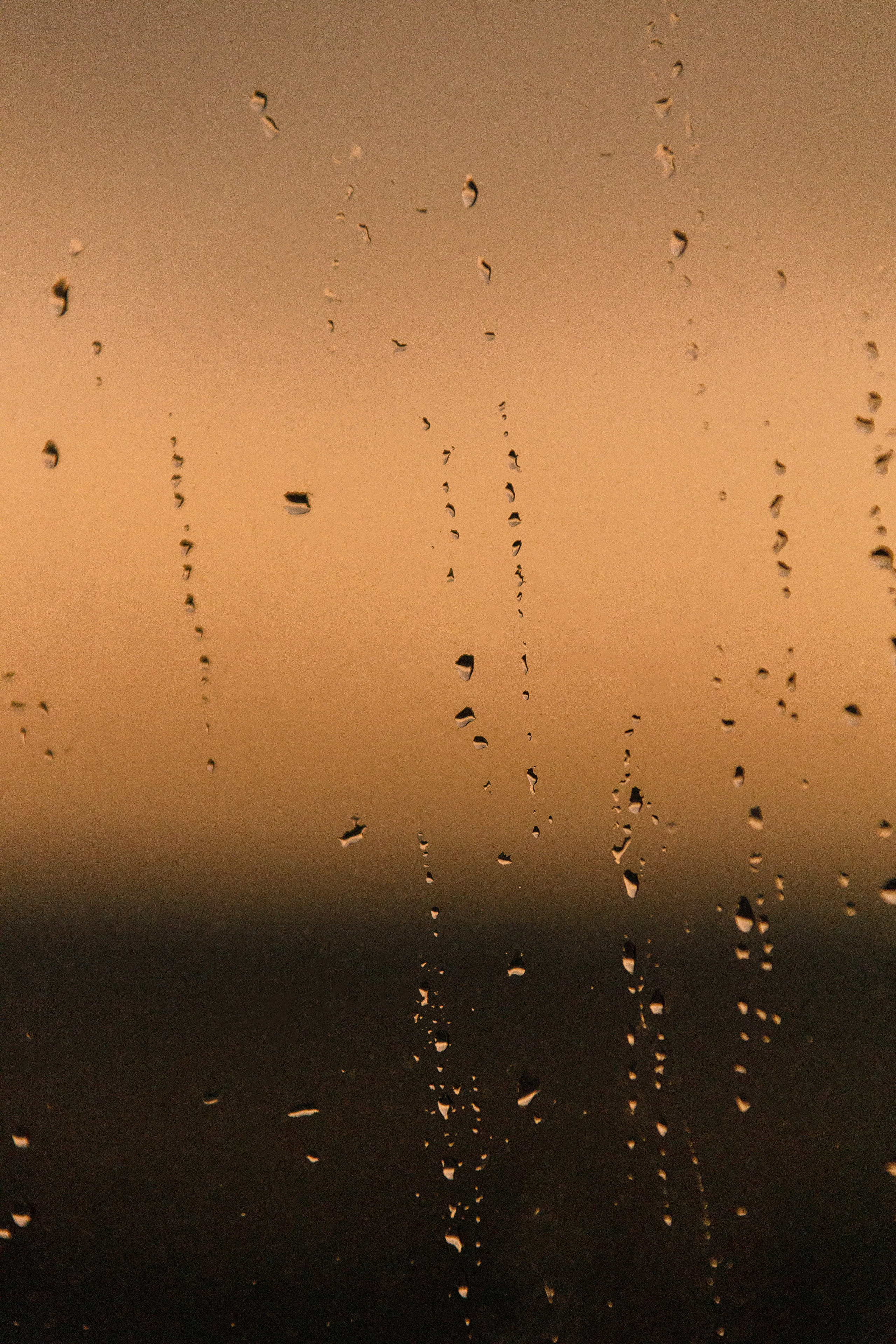 Проект «366»|2024|Фото каждый день. LENA GRACE photographer ||ЛЕНА ГРЭЙС фотограф