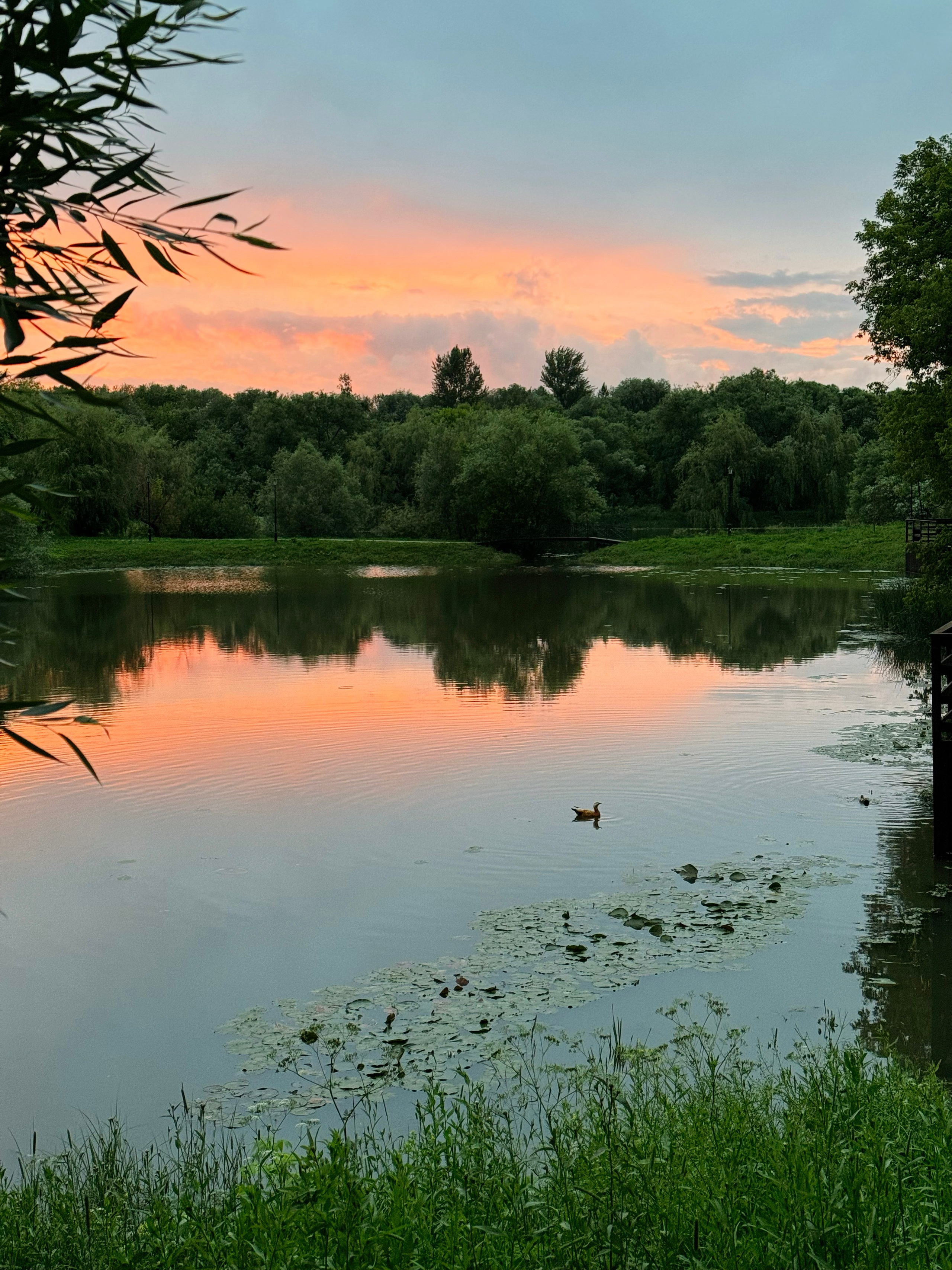 Закат в парке «Свибловские пруды»