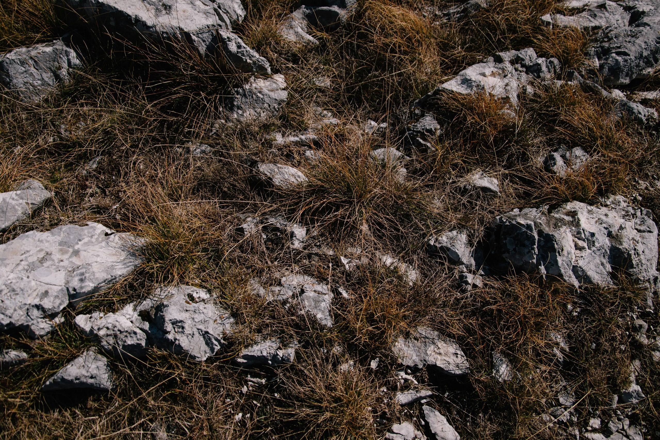 Алина и Михаил. Сербия и Черногория. Ноябрь 2024. Фотограф в Челябинске Любовь Денисенко