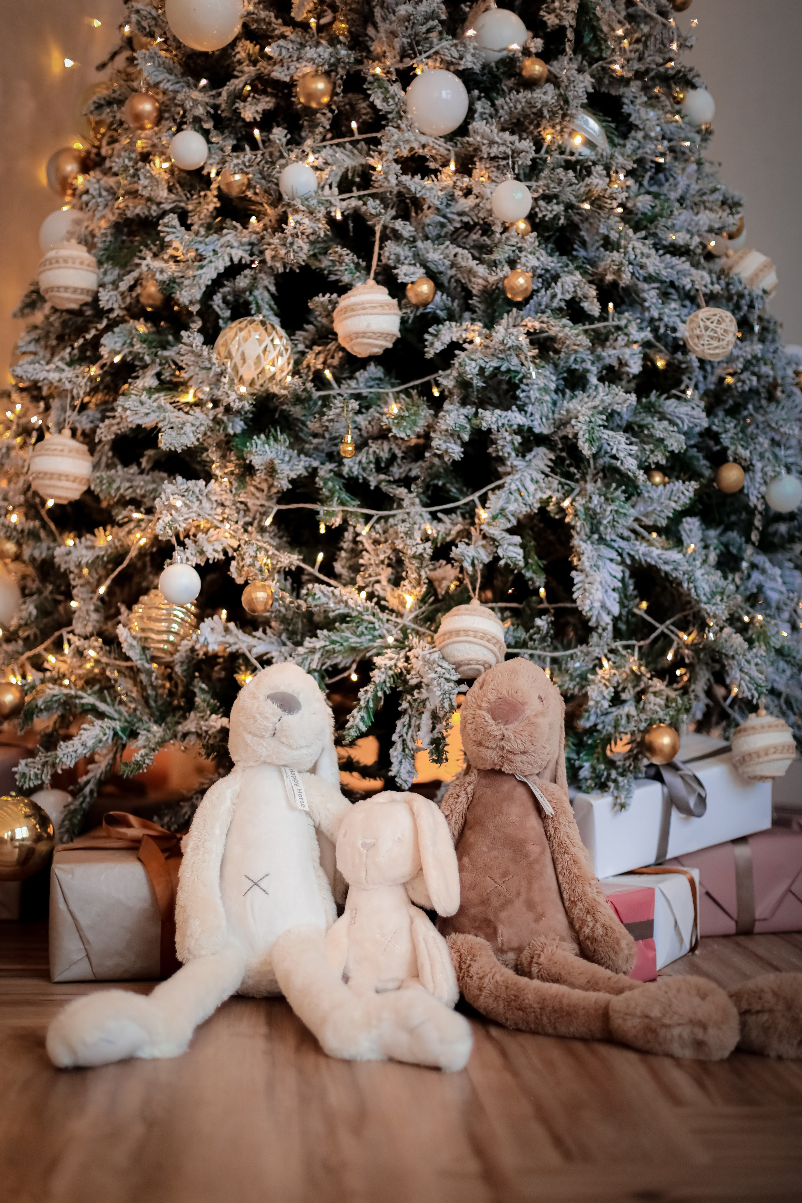 НОВОГОДНИЕ ФОТОСЕССИИ. Фотограф г. Хабаровск. Семейные и индивидуальные съёмки