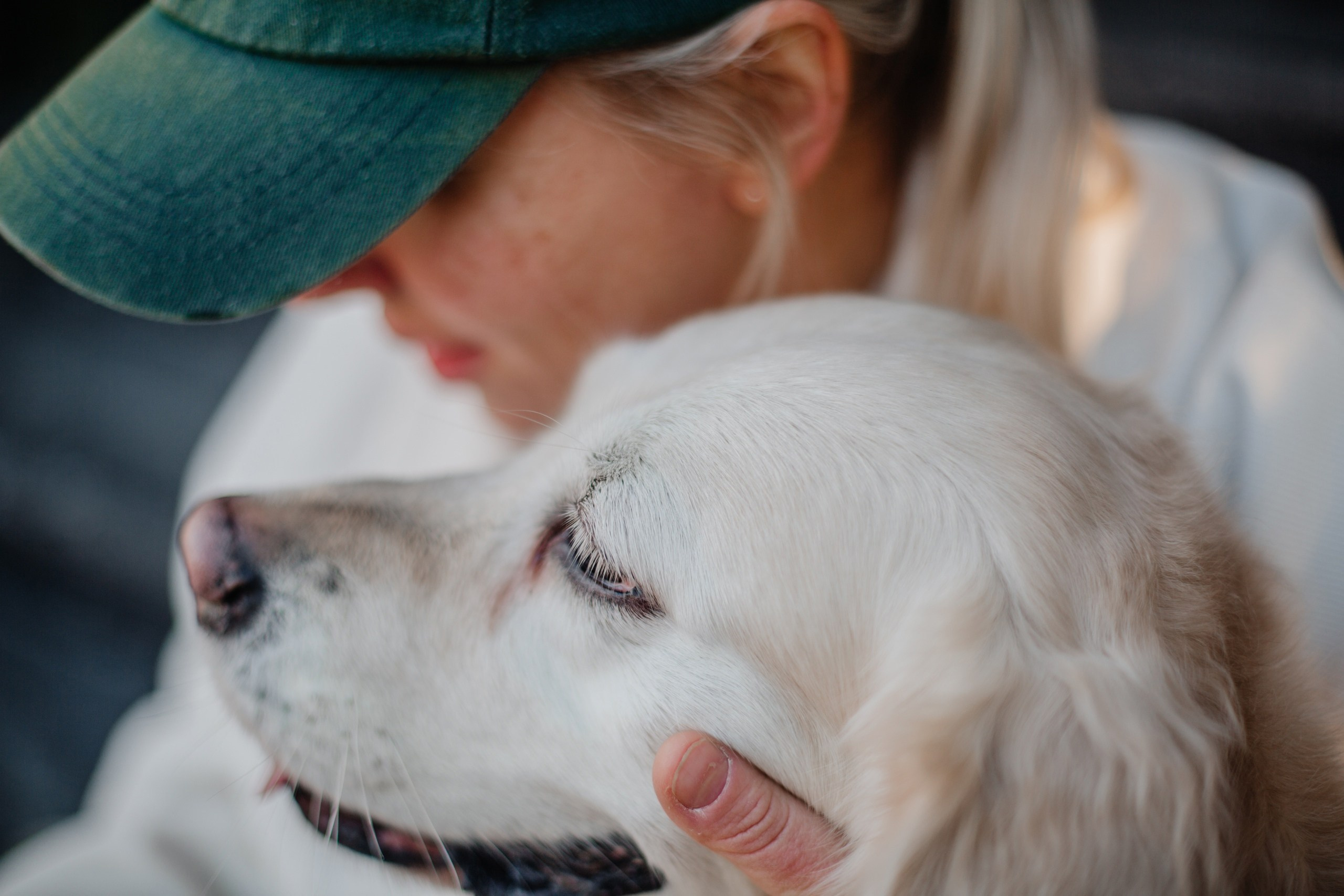 Про фотографа ❤. Фотограф Алёна Дарьина